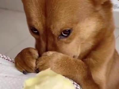 飞机杯到手之后的问题大解答，清洗保养，从入门到入土都能用的知识，一文搞定