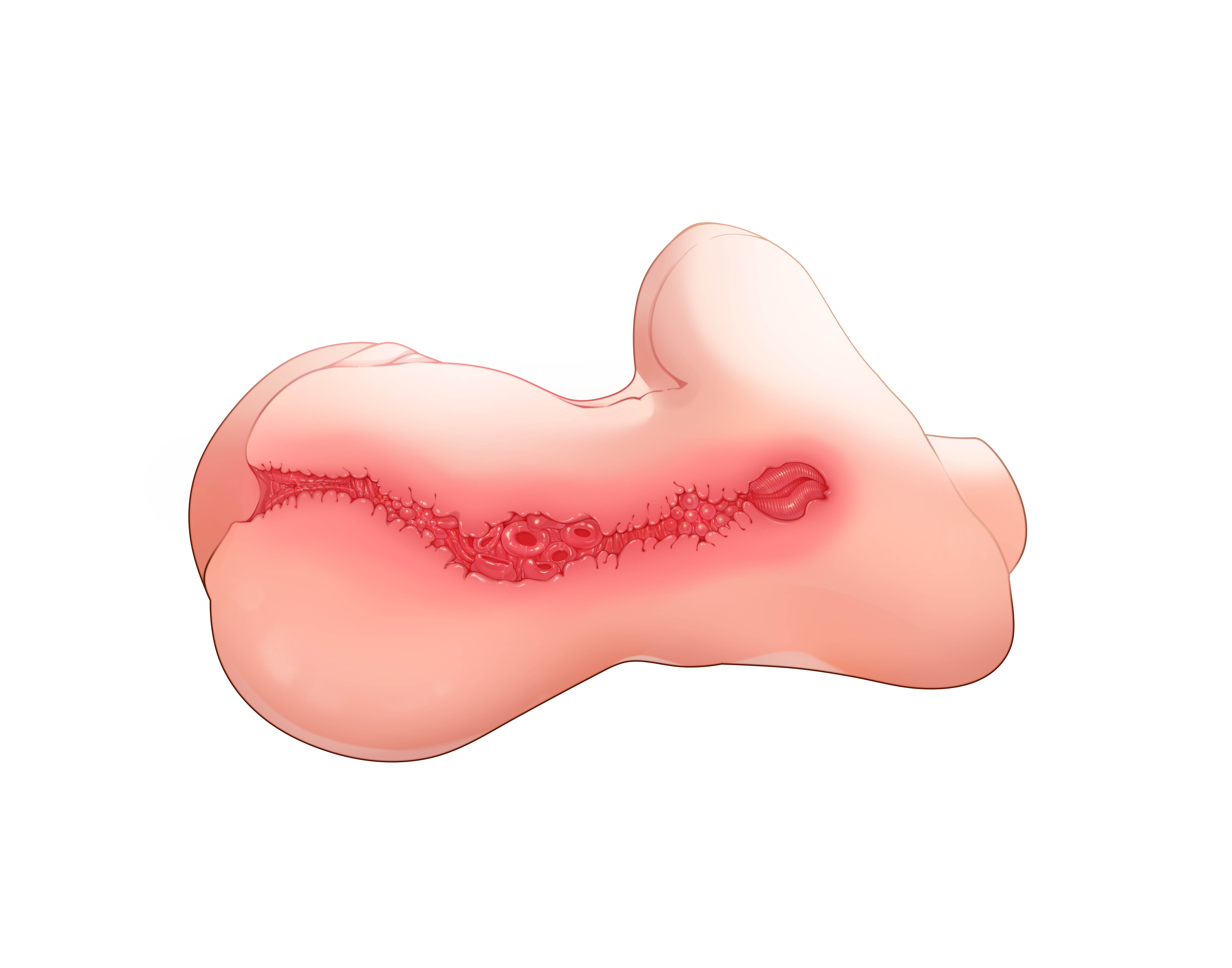 小屁股与妹妹体验日记~新人评测师土土实测“风俗娘”“生徒会长”