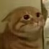 lovefactor星雾纱评测（小杯子），loli小型便携飞机杯