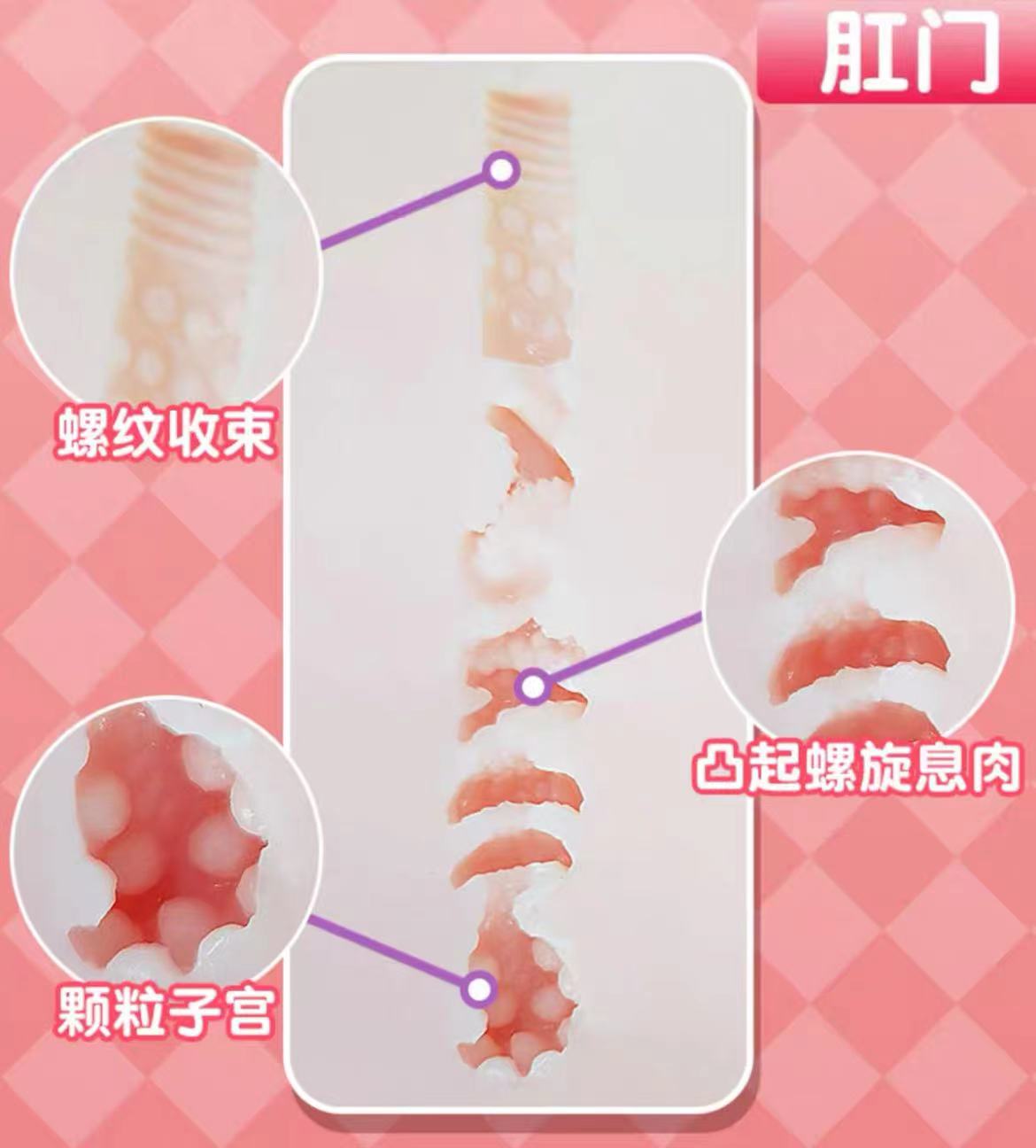 GXP-大吉樱子（半身）对比评测，身体倒模的选择该如何考虑？