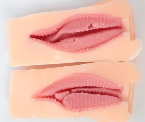 汤马托易士-班级委员长评测！特意保留了大颗粒的味道，这样你才知道玩的是日系杯子