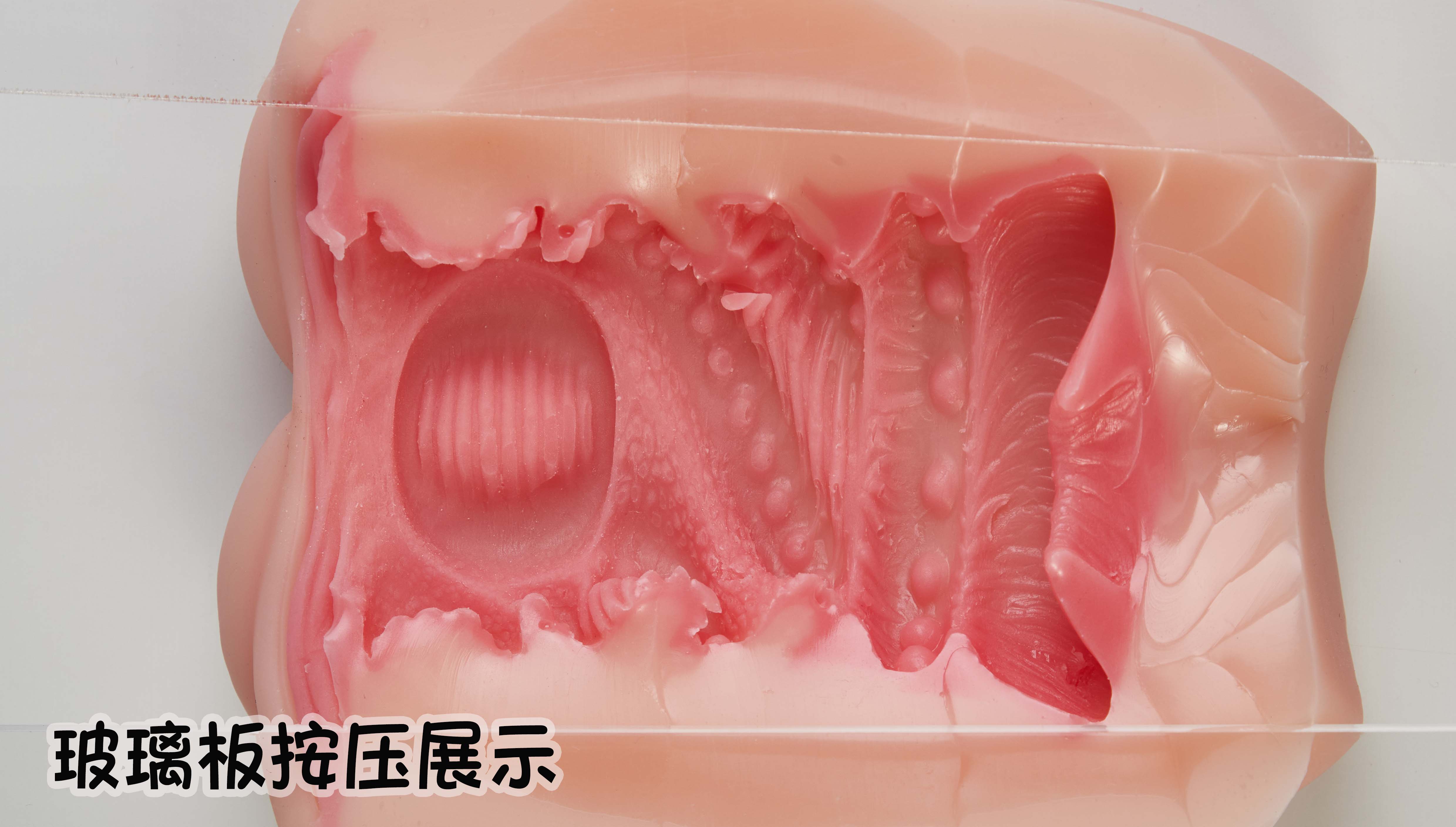 趣网-琉璃兔（排气杯）评测！高质量胶体！玩法类似R20的进阶长形名器