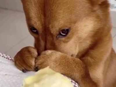 10种会让你的飞机杯光速去世的情况！千万注意！超全的小玩具保养指南！