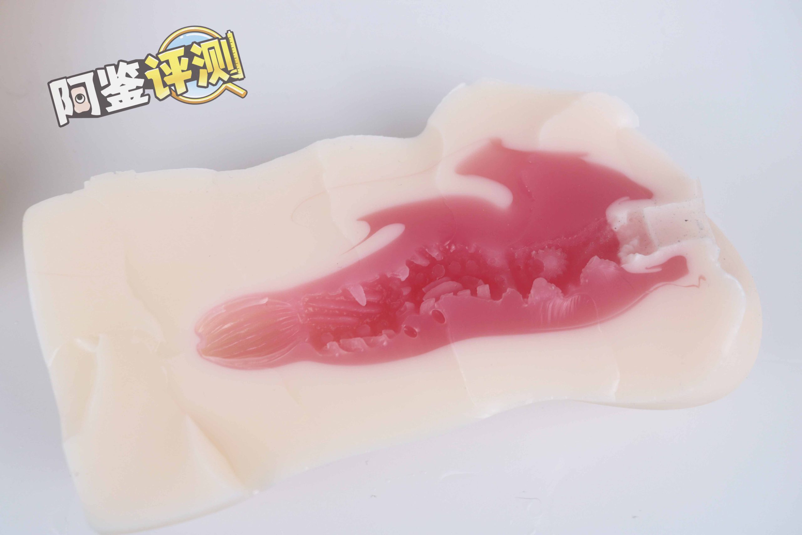 NPG-003（新版）评测，著名的葵司联名款的最新改版！效果如何呢？