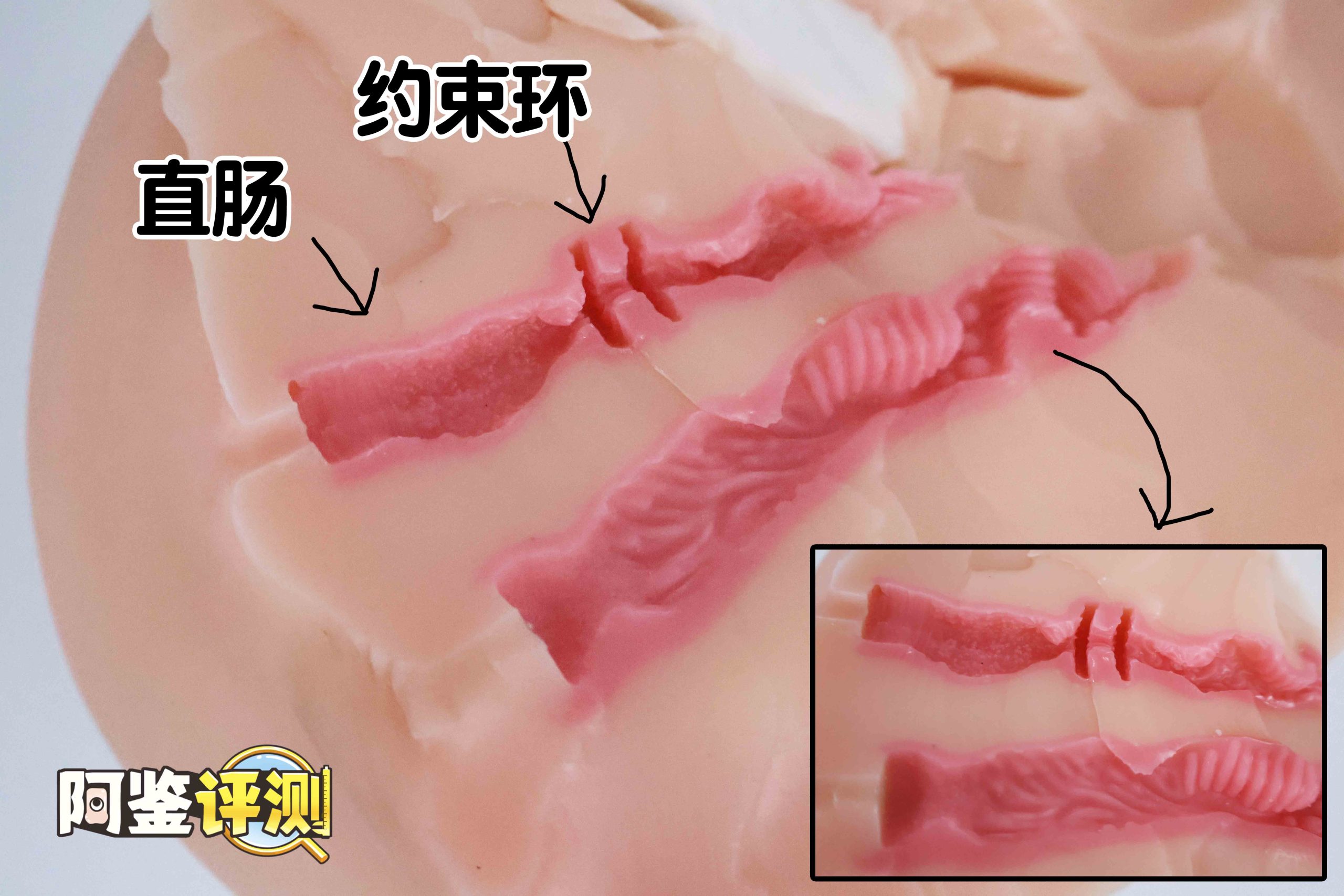 Lovefactor“风铃御使”评测!臀模界的革新工艺,真实形态的肉感波浪!