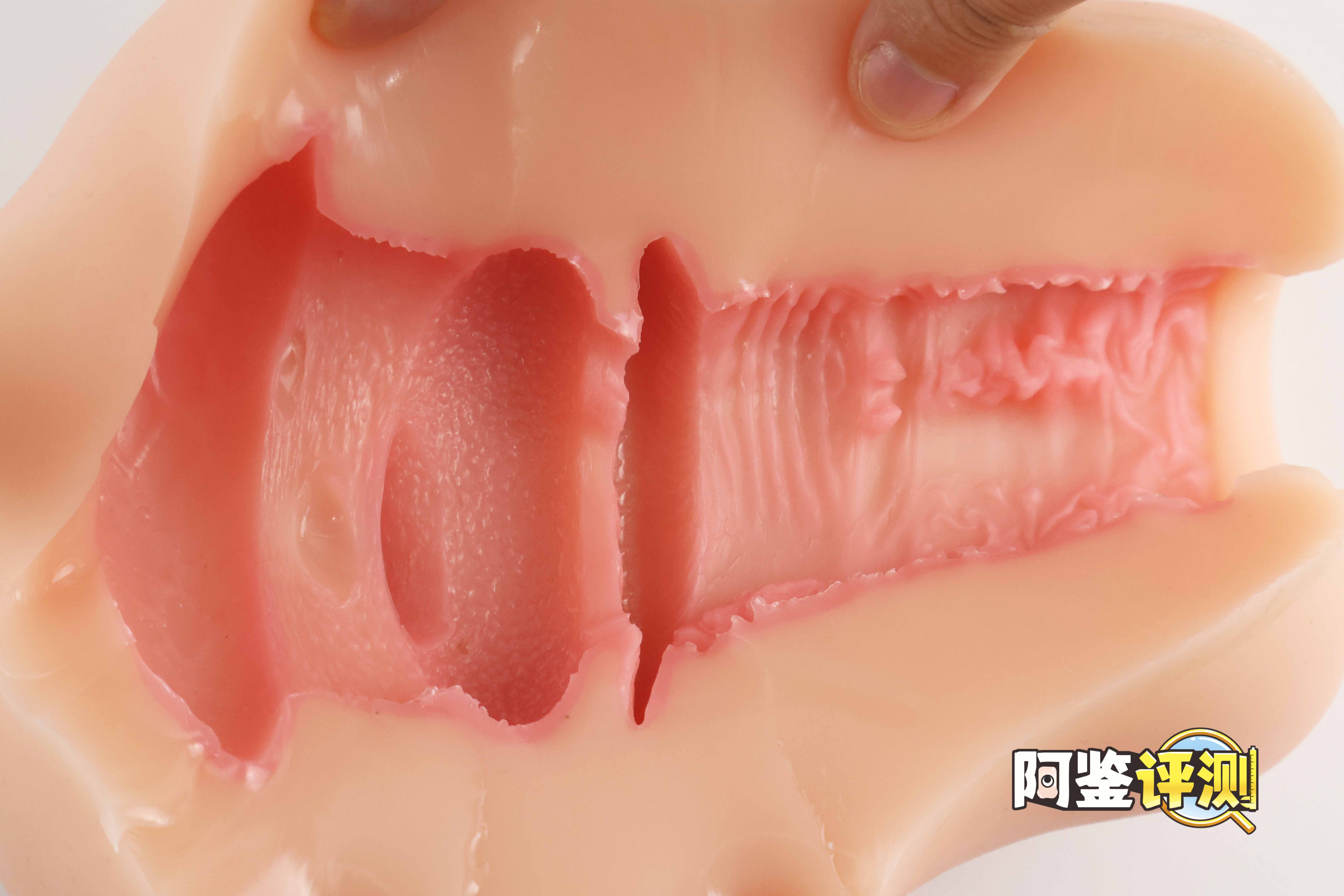 GXP-“赫萝猫娘”评测（高刺激）！要…要被猫猫“暴风吸入”惹！