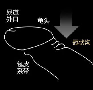 Ride-Japan“包福Z”评测！前软后硬的旋转横纹，弹性手感的温柔刺激！