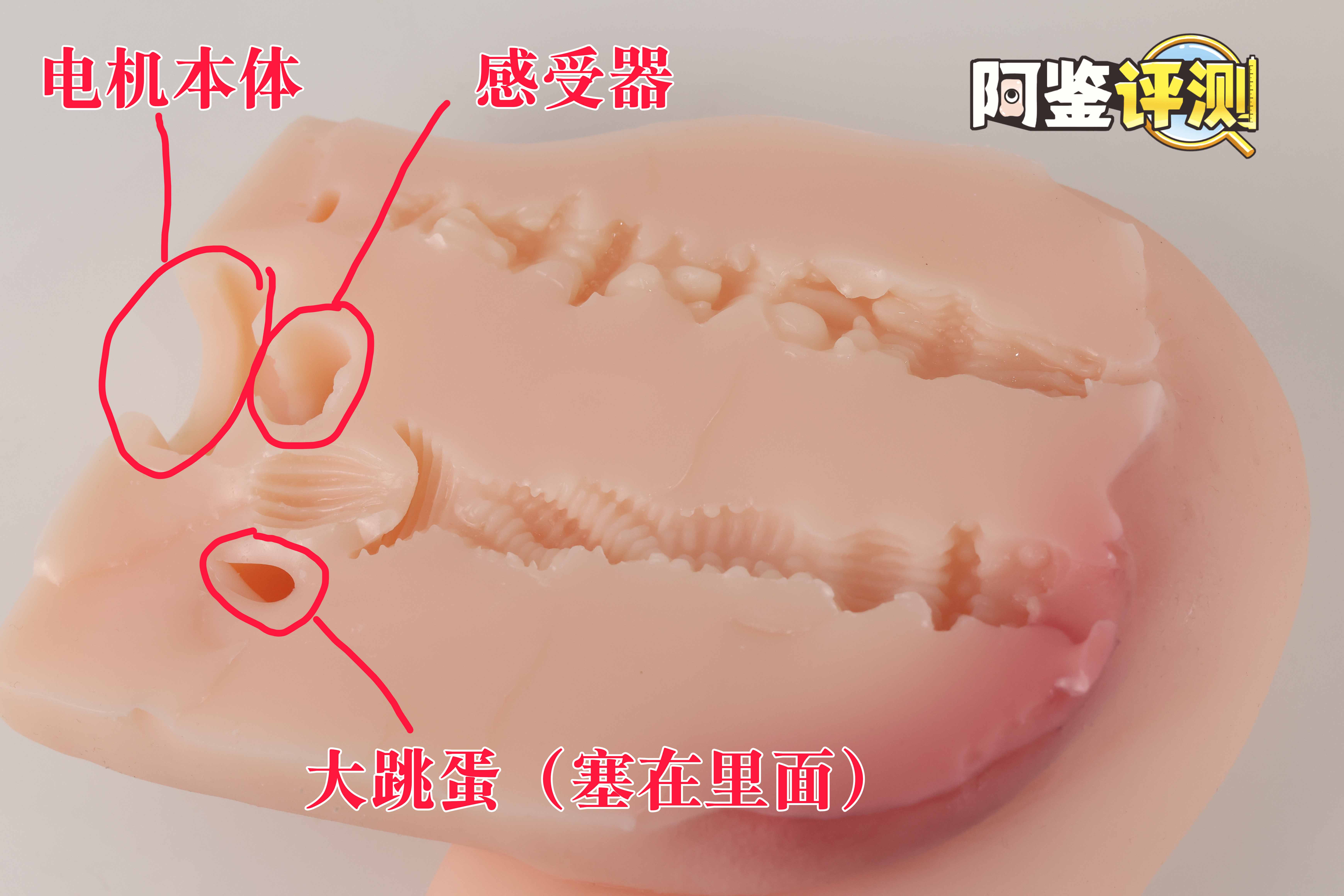 趣网COC——“杯魔女”评测！屁股就是用来拍的！爆笑流“抖动”臀模！