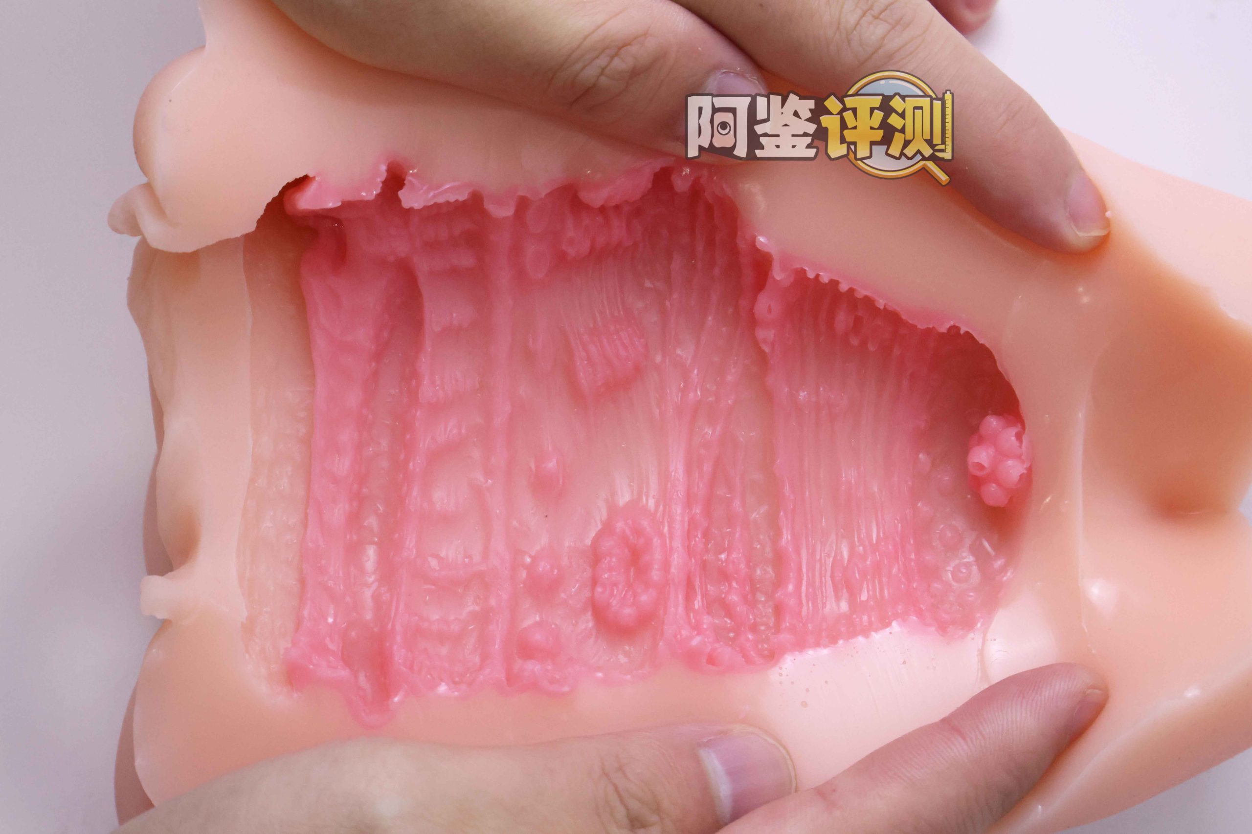 GXP—“工口新入生”评测！毫无压力的宽松型慢玩！平淡但不太腻