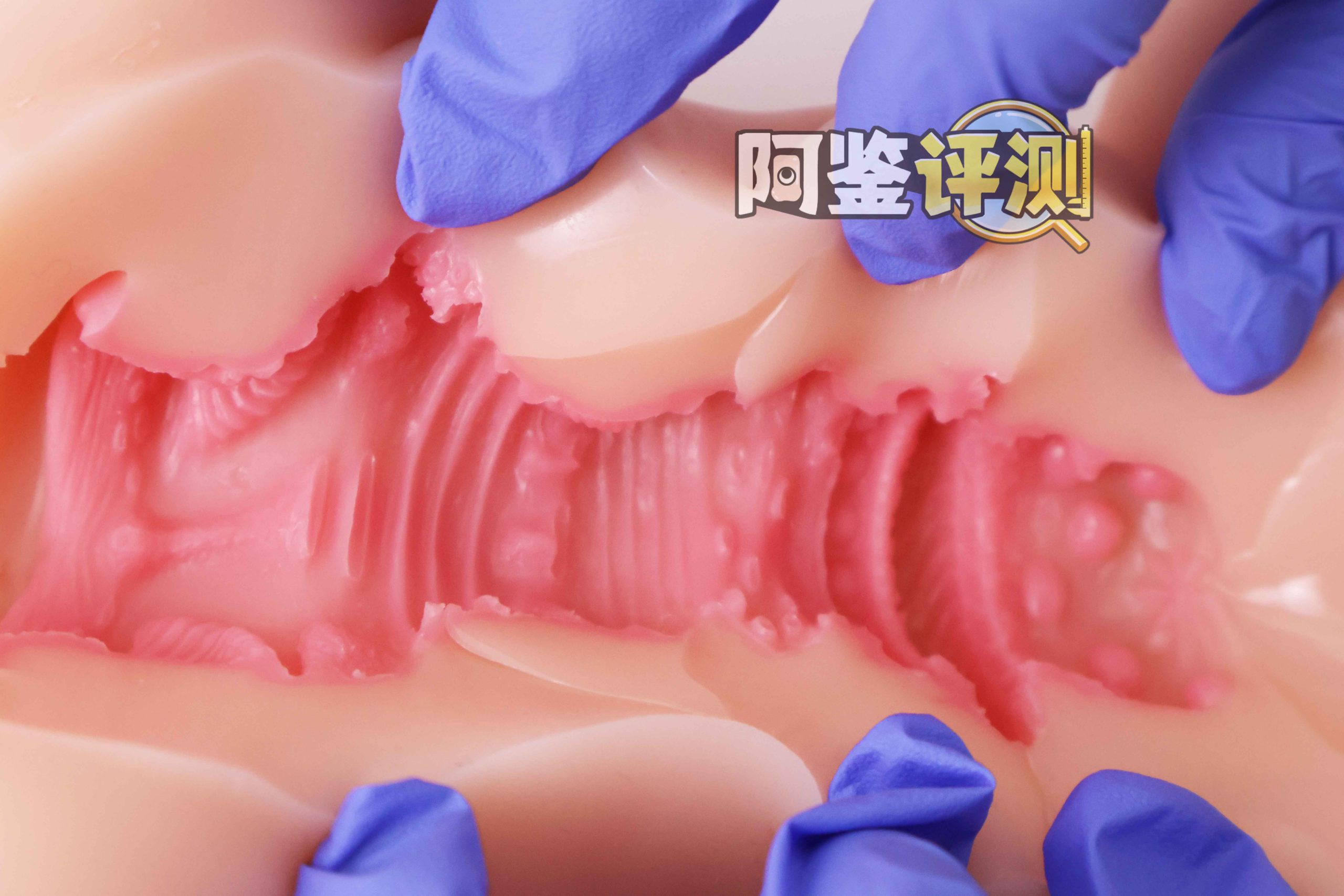 GXP—“异世界 龙娘”评测！1.4kg！飞机杯中的“超大杯”！到底算半身还是算名器？