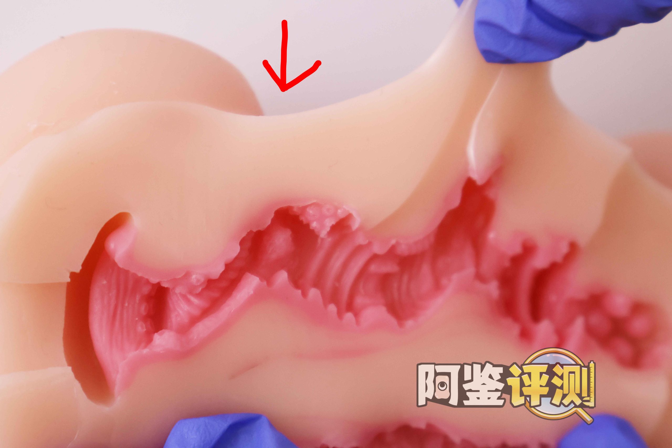 GXP—“异世界 龙娘”评测！1.4kg！飞机杯中的“超大杯”！到底算半身还是算名器？