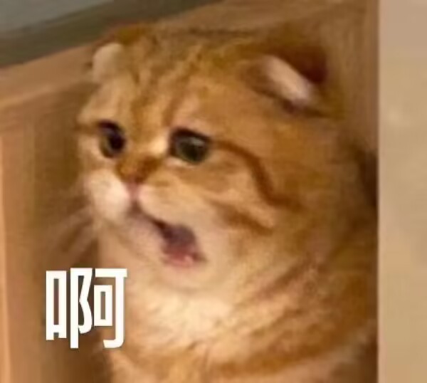 GOSE—“契约女仆—姐姐小贝”评测!弯曲慢玩,绵延肉感,传统派慢玩产品!