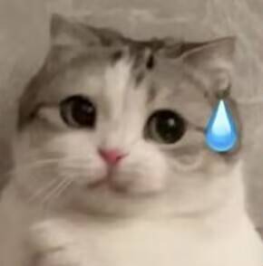 A-one—“六连子宫-二代”评测！最原始的肉球设计，简单高效的“六个核桃”