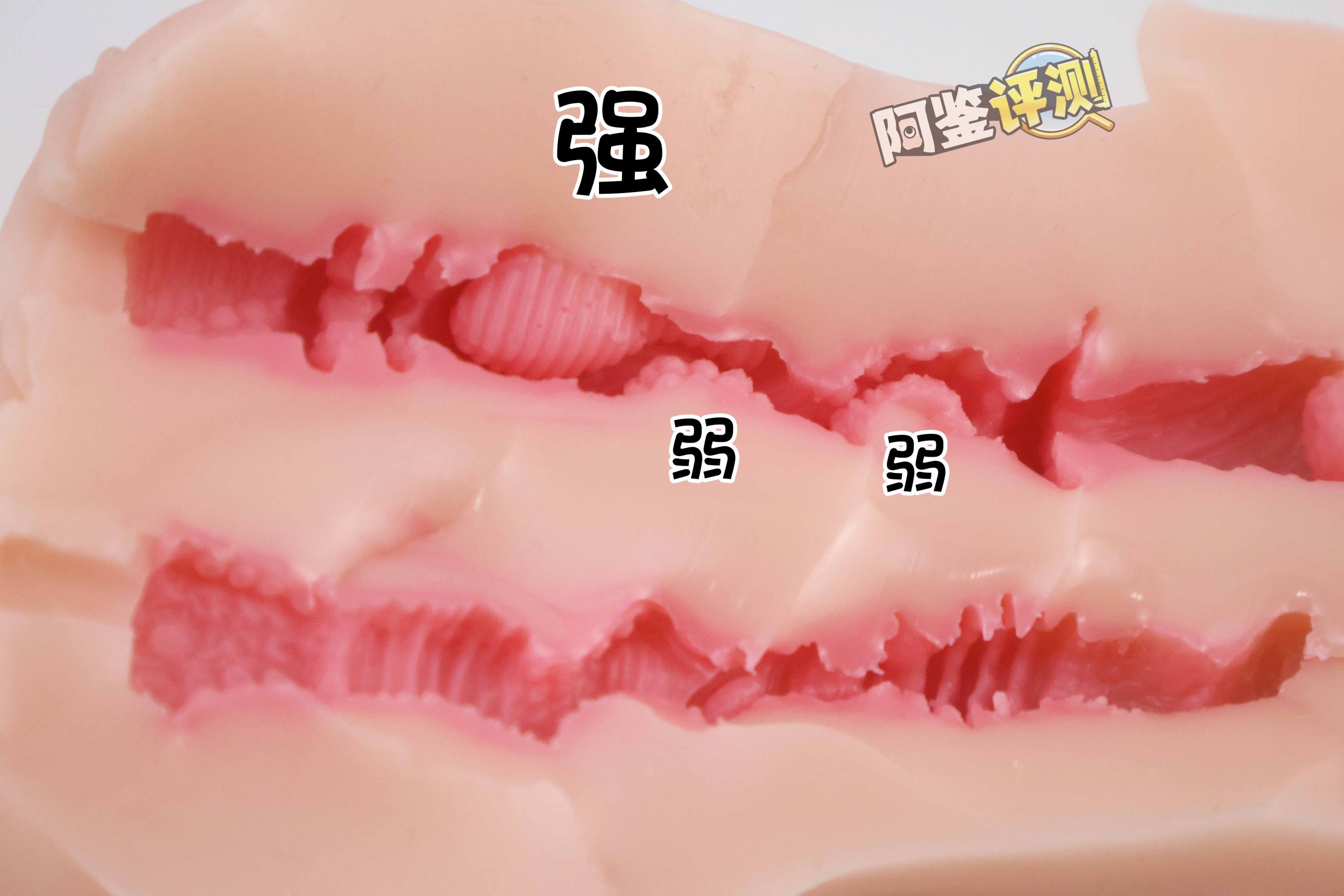 GXP—“异世界狐娘”评测！冬天冻吊训练神器，会“翘头”的大肉粒你见过没？