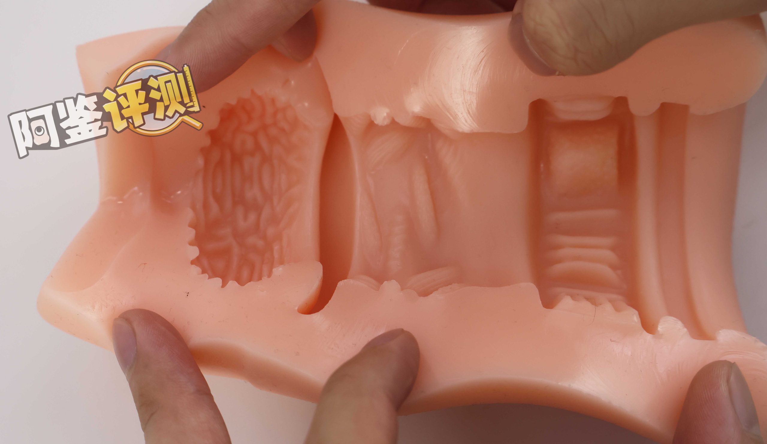 对子哈特—“R20四代-soft版”评测！驯化后的“牛牛杀手”！是否多了些温柔呢？