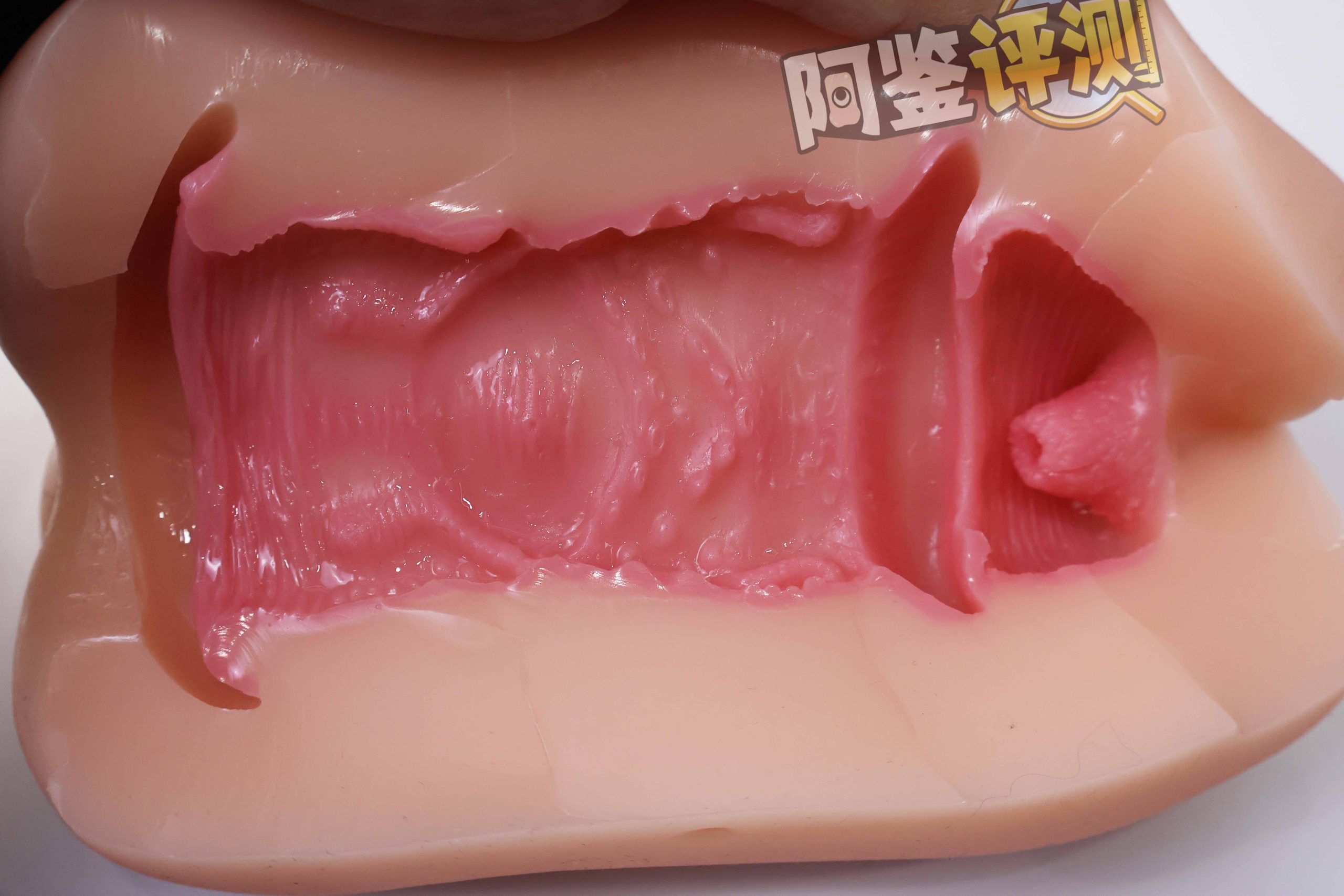 GXP—“以圣诞之名”评测！不是圣诞老人，也能骑驯鹿！