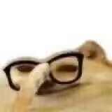 GXP—“以圣诞之名”评测！不是圣诞老人，也能骑驯鹿！