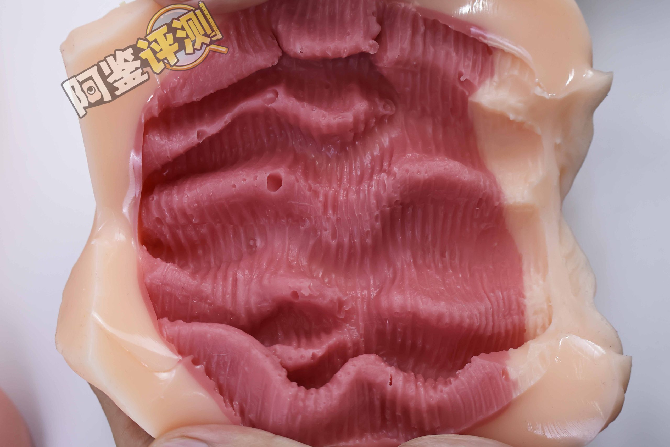 火炮——“高级大小姐的潜力W”评测!不能动的硬质肉脊结构,用起来感觉像被叉住了一样.....