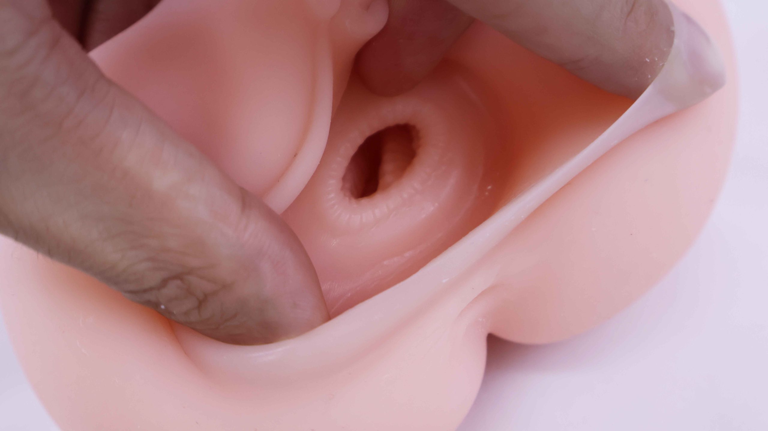 GOSE—“天星酱”评测！首个国产品牌软胶旋风形慢玩！阿鉴参与设计的新式玩法！