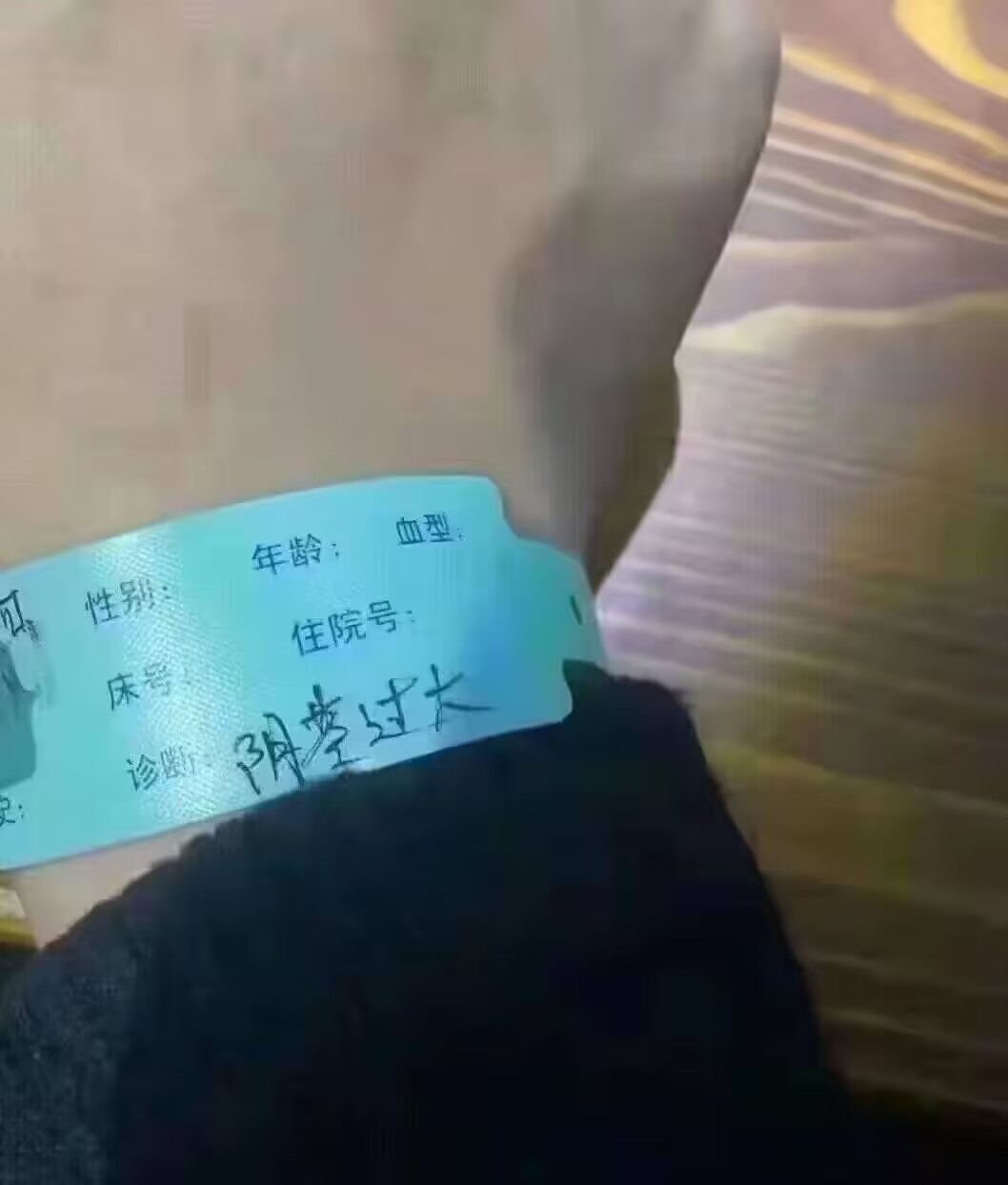 国产没牌子——“人形飞机杯”评测！最考古的一集！阿鉴用过的第一个斐济杯同款！