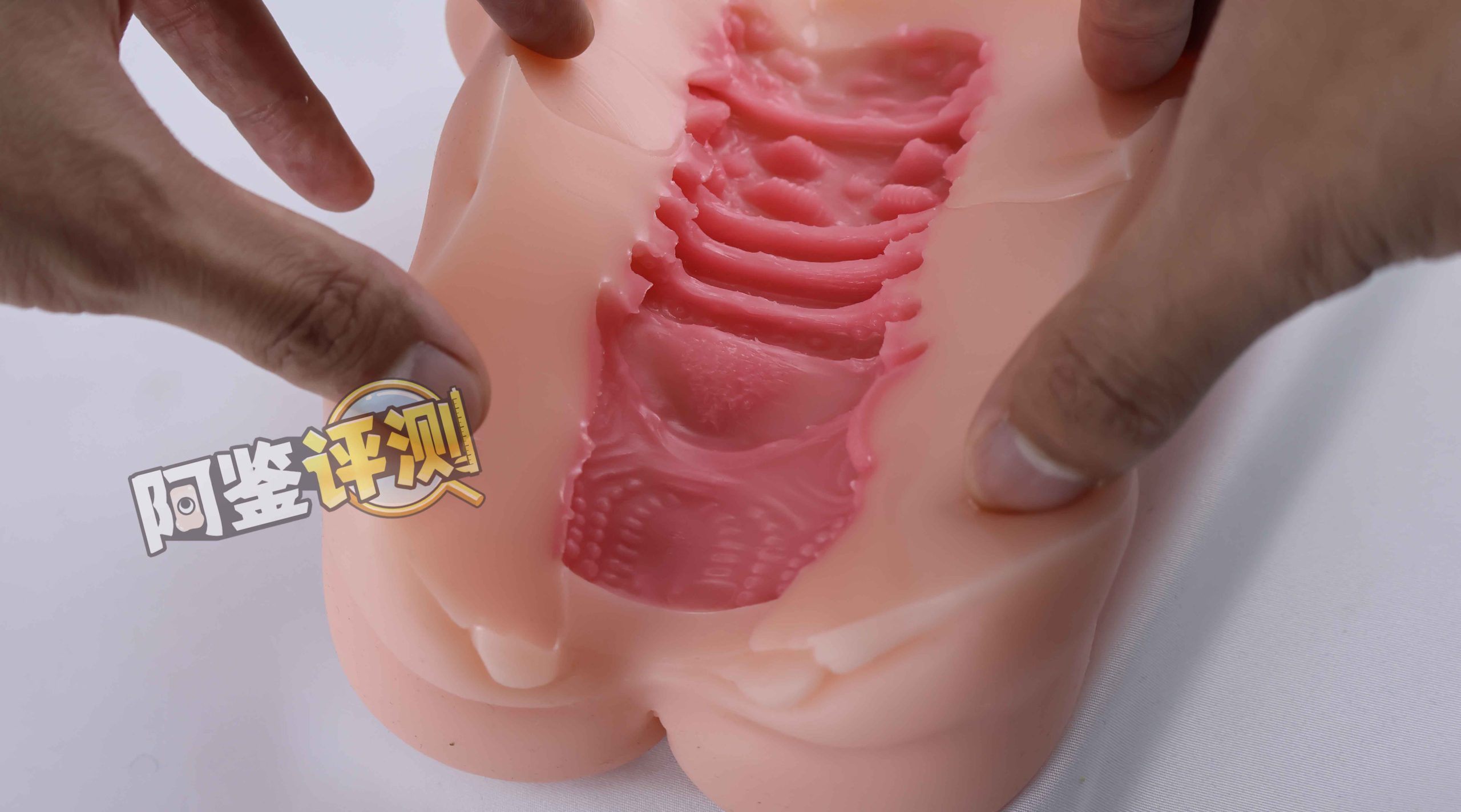 AGIaegir——“星座传说-魔蝎座”评测！新品牌试水之作，肉片结构表现如何？