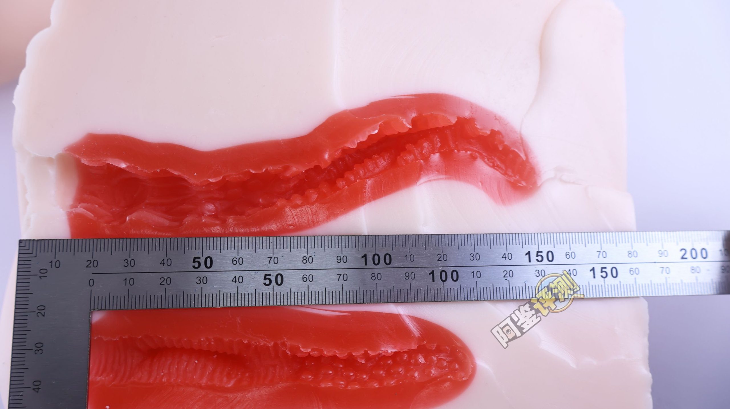 maccos——“真实之臀”评测！重量方面确实是足够的，但造型实在太过无感了.....