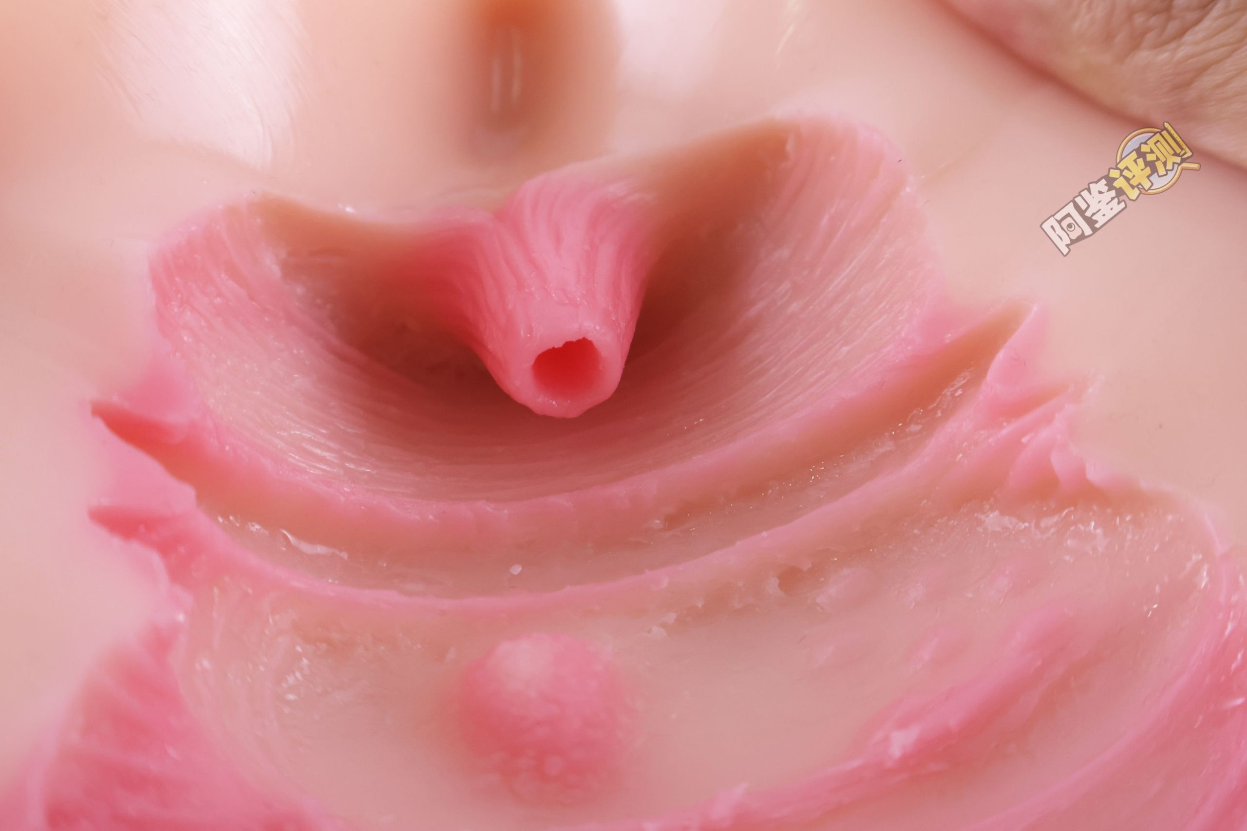 Kaguyano——“符津宵子”评测！能超越“纯洁之体”的部分，似乎只有材料的软度这一点了