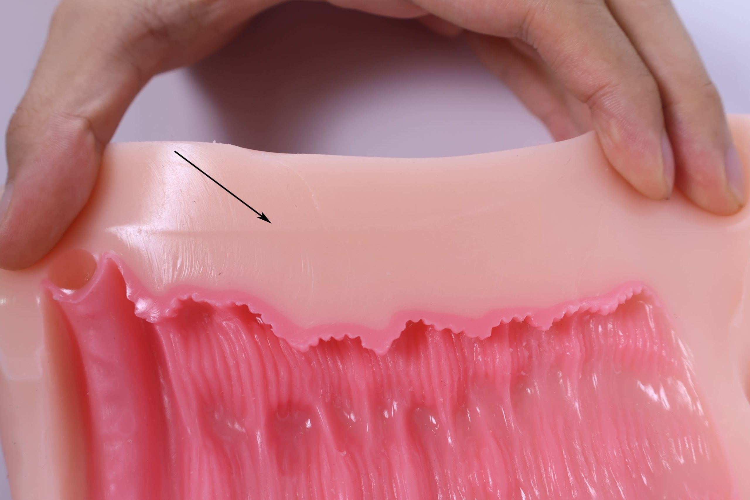 LoveFactor——“萌妻解禁”评测！久违的约束环菊花杯，似曾相识的三层材质结构