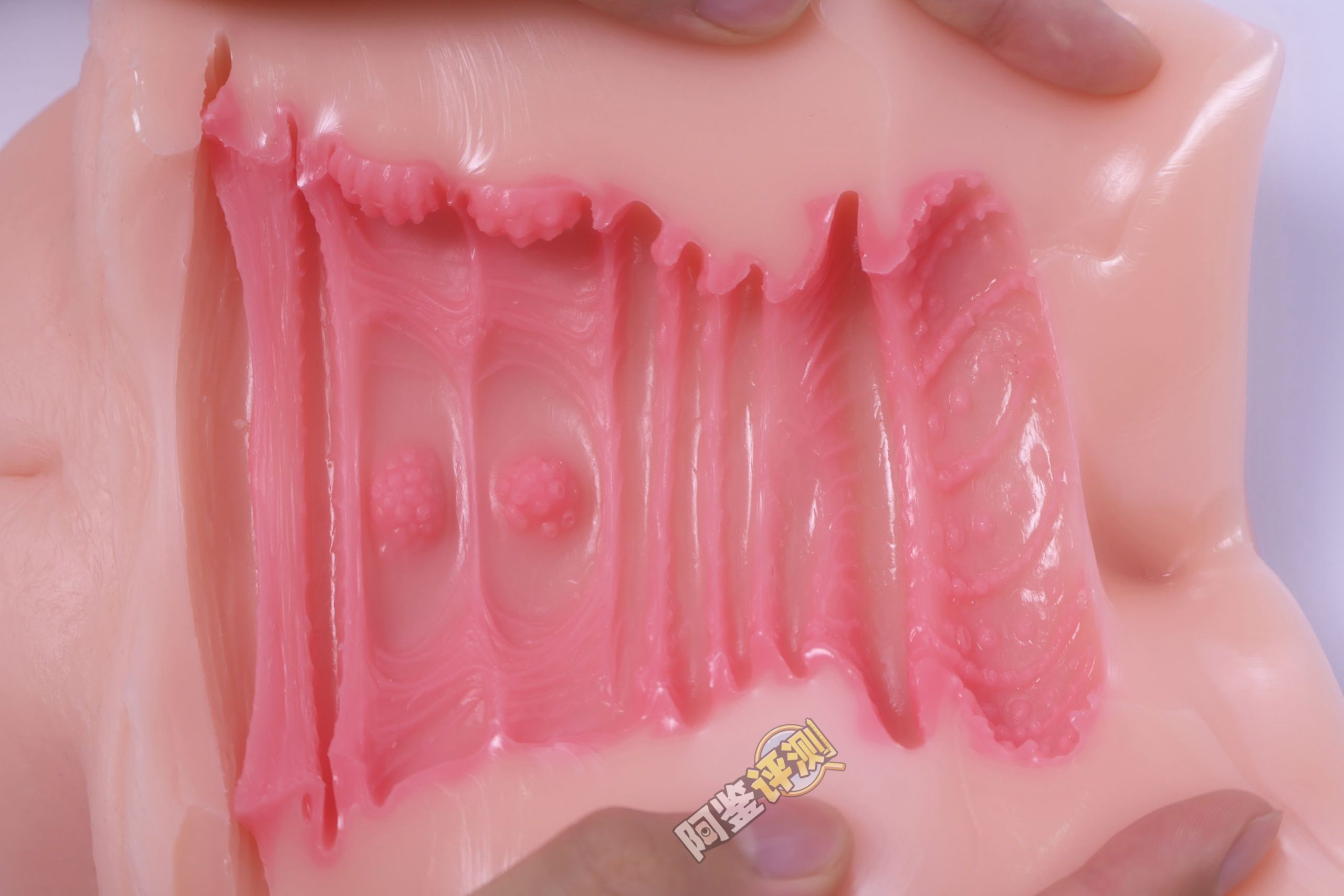 GXP——“白丝壁女2代(hard版）”评测！更加硬质的肉片结构，完全改变了整个杯子的体验画风！