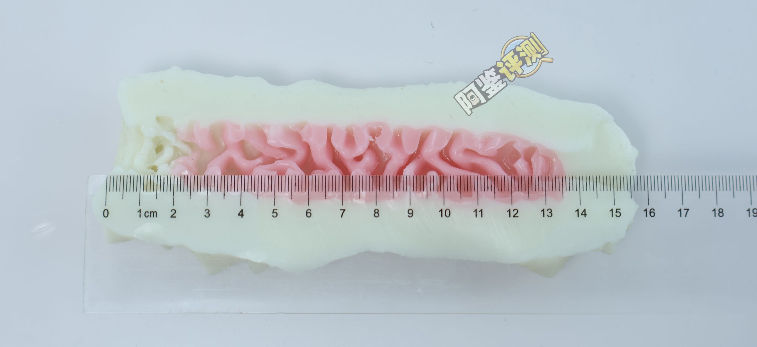 国产大魔王——“白丸”评测！虽然外形手感非常奇怪，但通道的剐蹭感不错