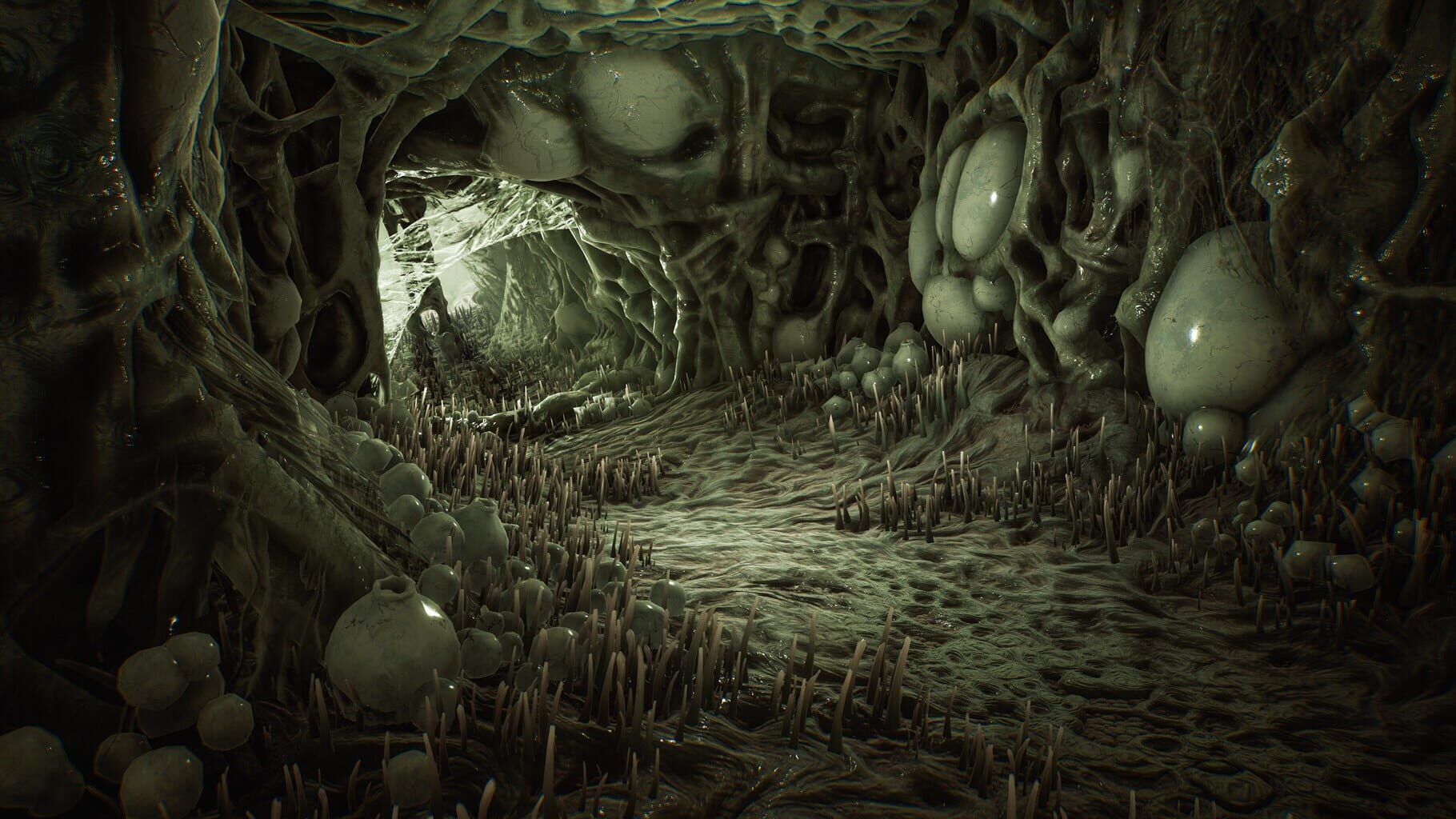 汤玛托易士——“退学魔王”评测!异形巢穴一样的表面结构,实际感受却是自然的真实感?