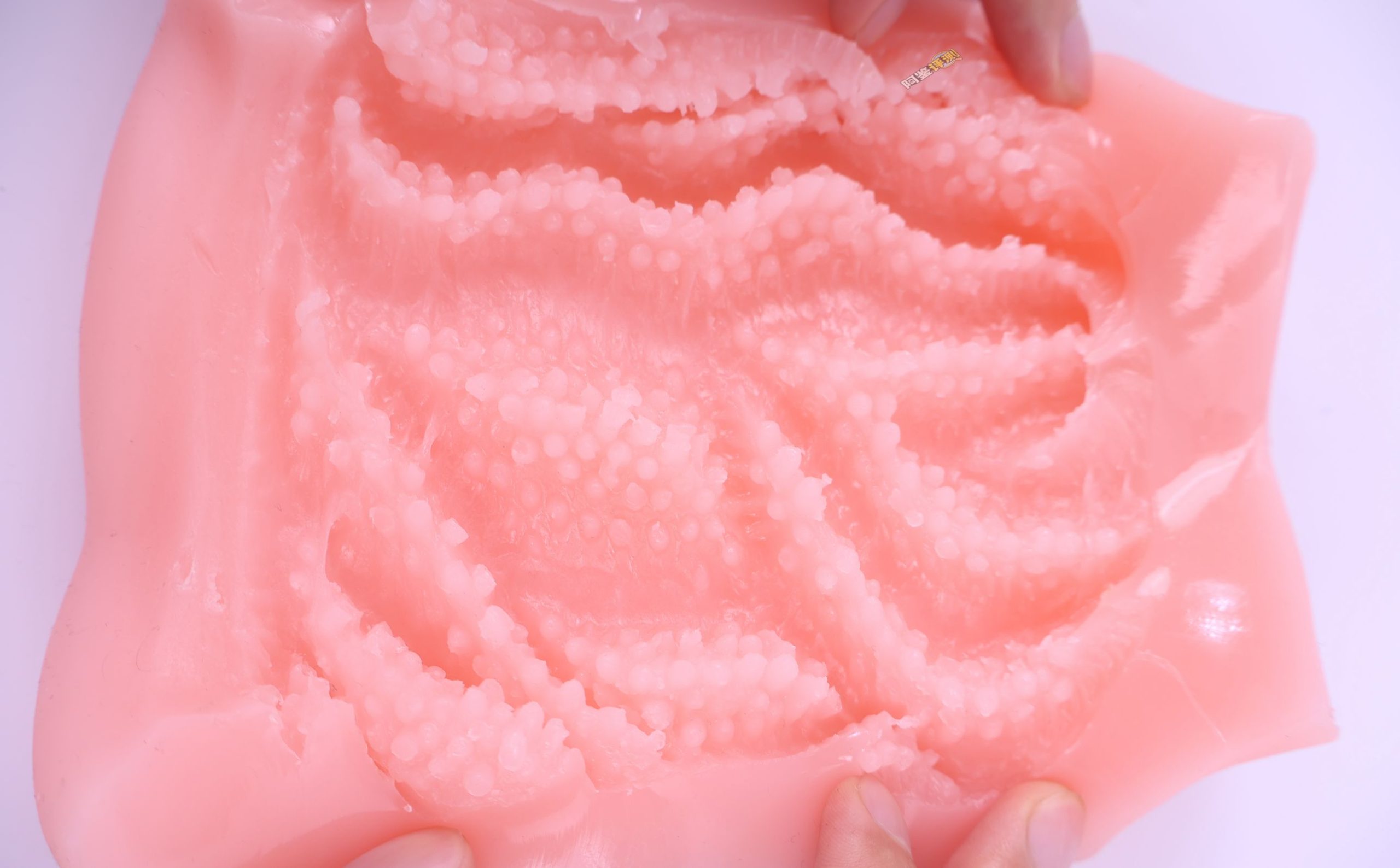 COOLP——“性处理女仆soft”评测！充满技巧但又耐心温柔，棱角舔舐般的慢玩软感