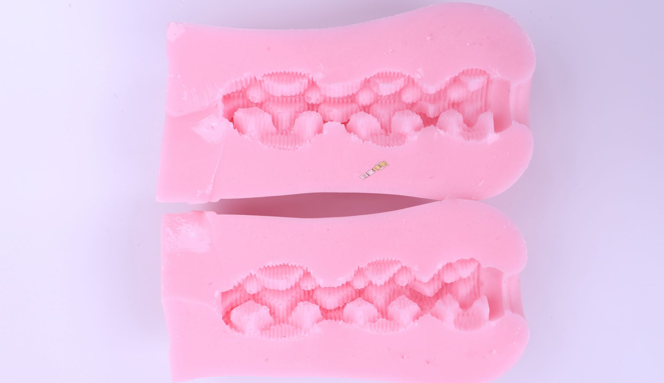 RIDE JAPAN——“Panky Mesh”！狂野，震撼亚洲！完全符合人设的危险风格