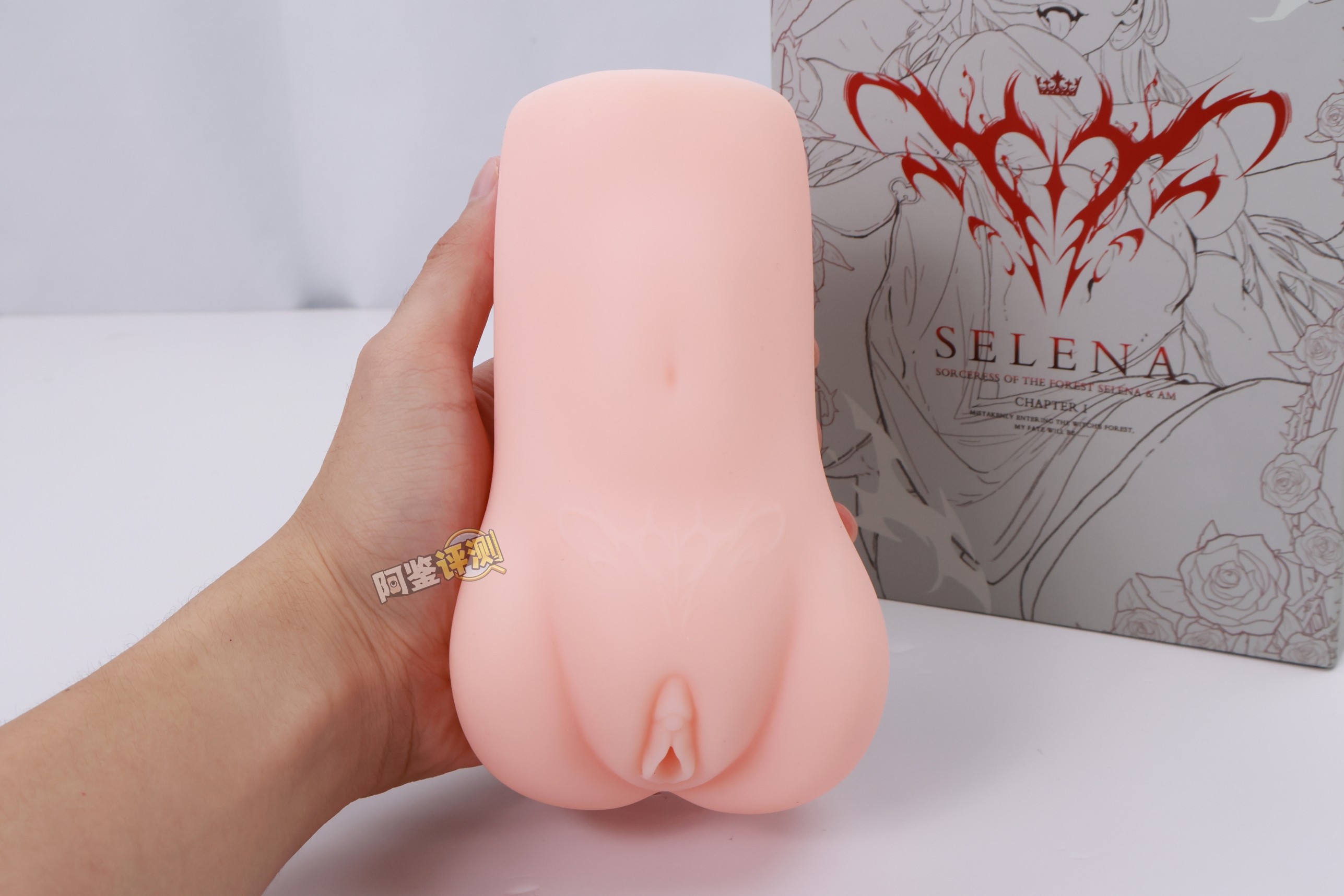 TMT——“魔女之森”评测！除了使用体验以外都挺精致，杯界的时尚小垃圾