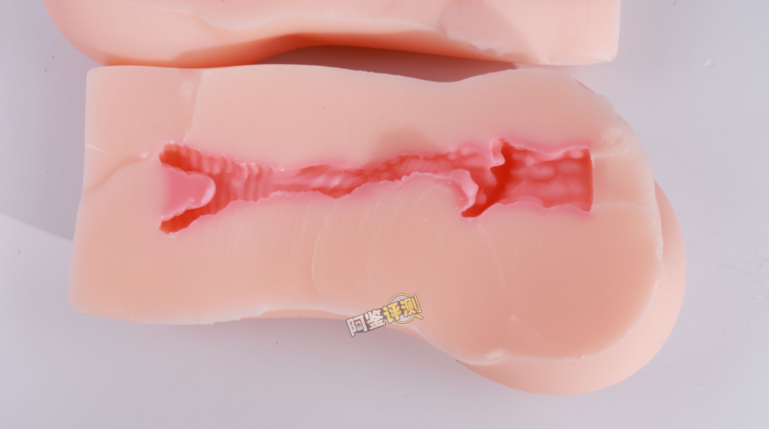 TMT——“魔女之森”评测！除了使用体验以外都挺精致，杯界的时尚小垃圾