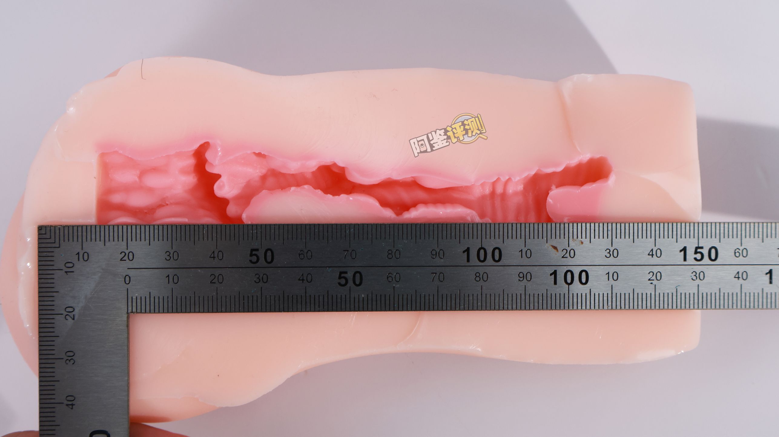 TMT——“魔女之森”评测！除了使用体验以外都挺精致，杯界的时尚小垃圾