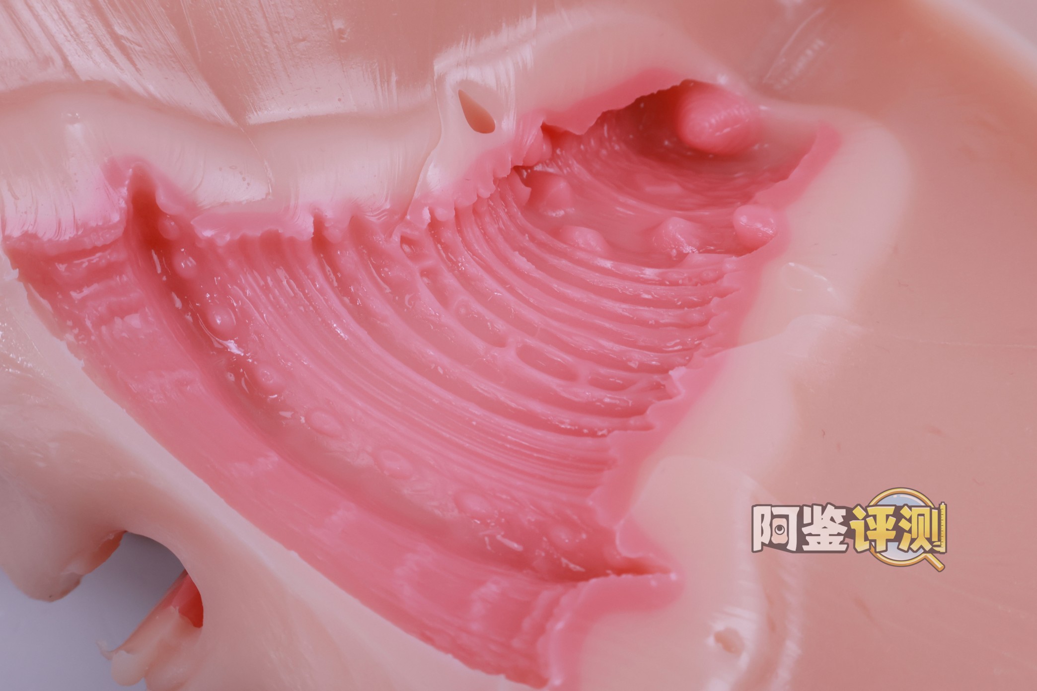 kaguyano——“油醋汁”评测！更适合后入的翘臀肉浪，不过因为造型缘故正面会有些塌陷