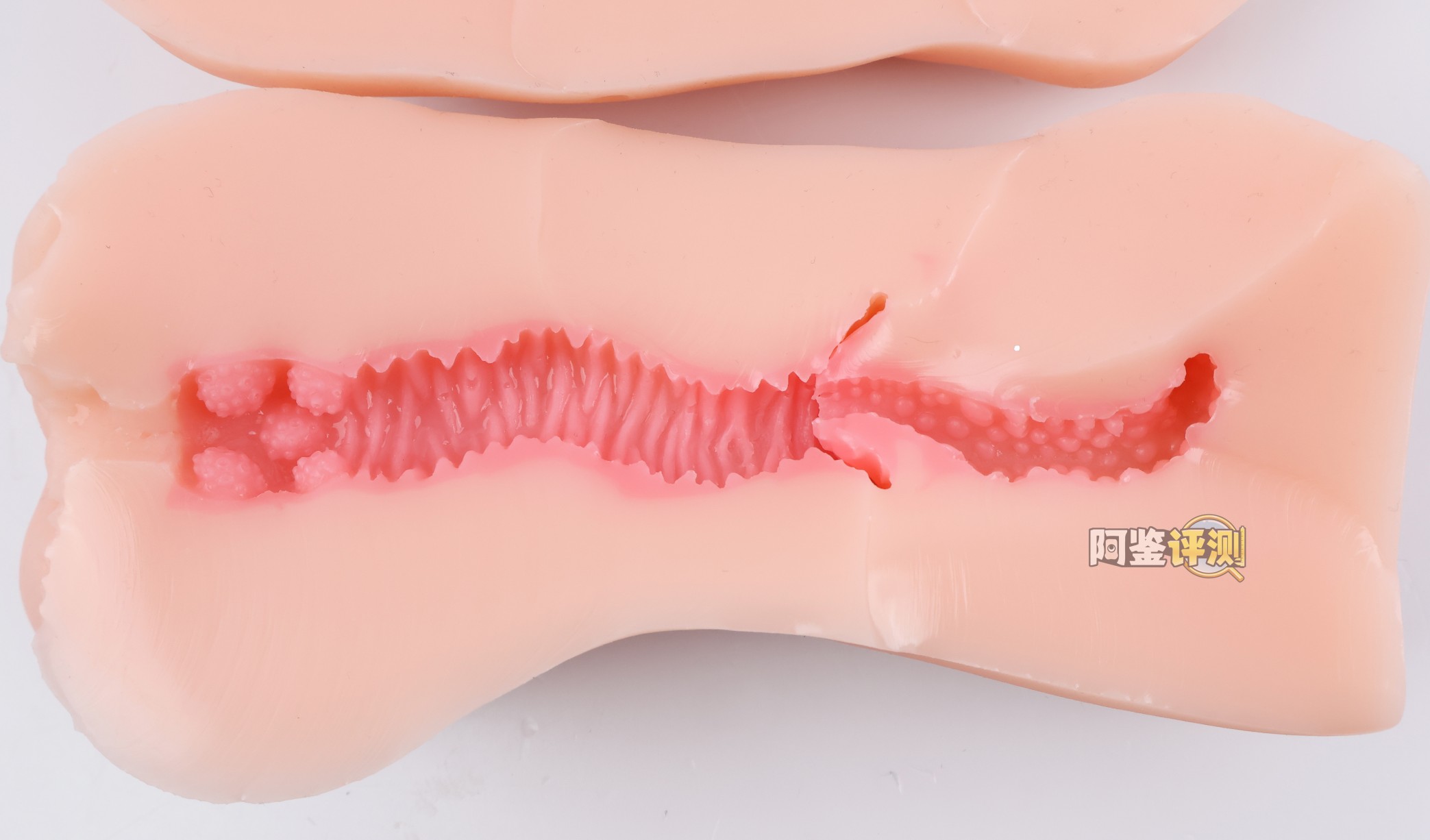 GXP——“SG研究社（1代）”评测！带一点幻想元素的仿解刨结构飞机杯！