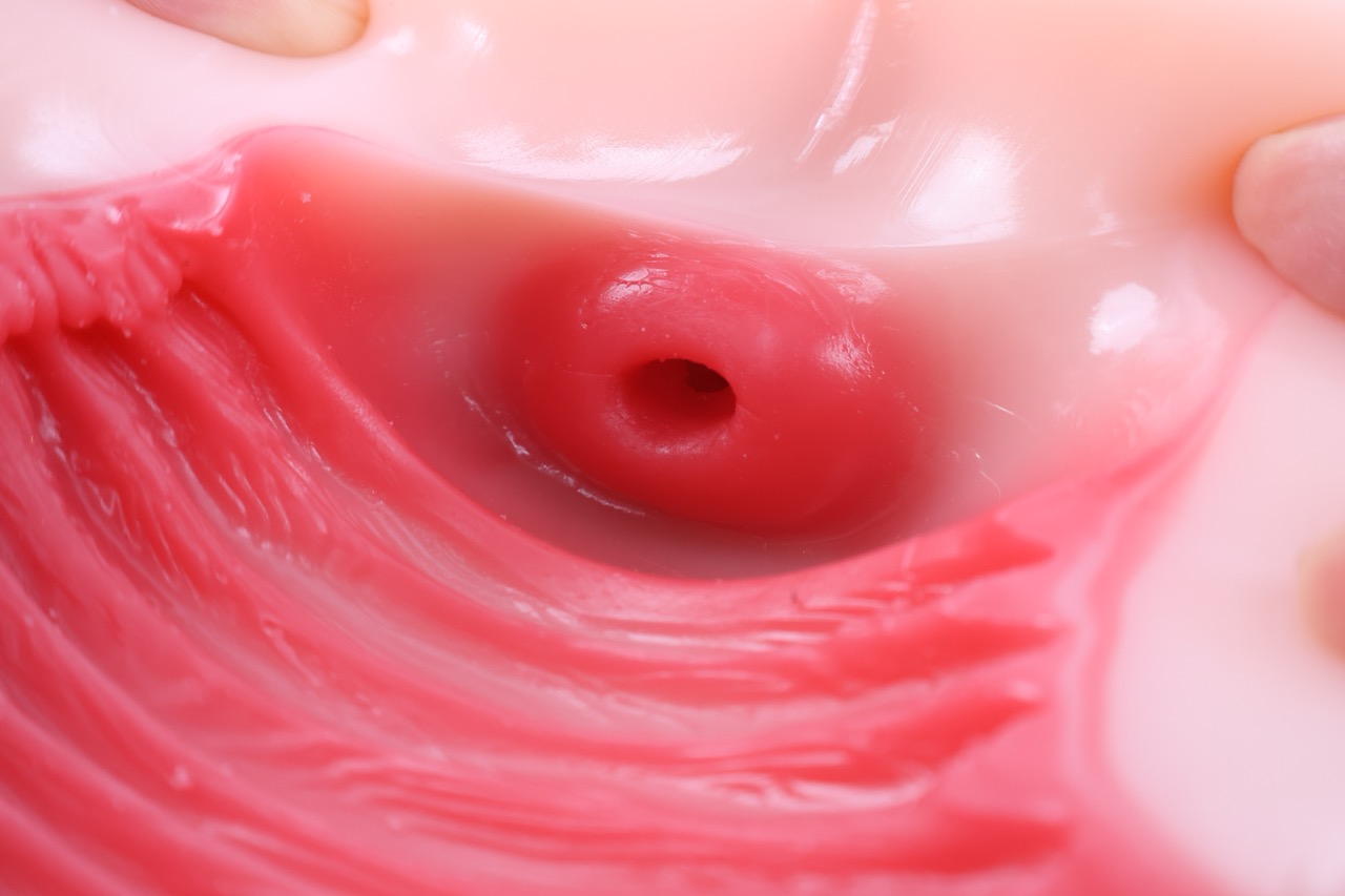 GOSE——“懒小鬼”评测！将各个方面的优化融合成了一体，各方面都相当完善的腿模