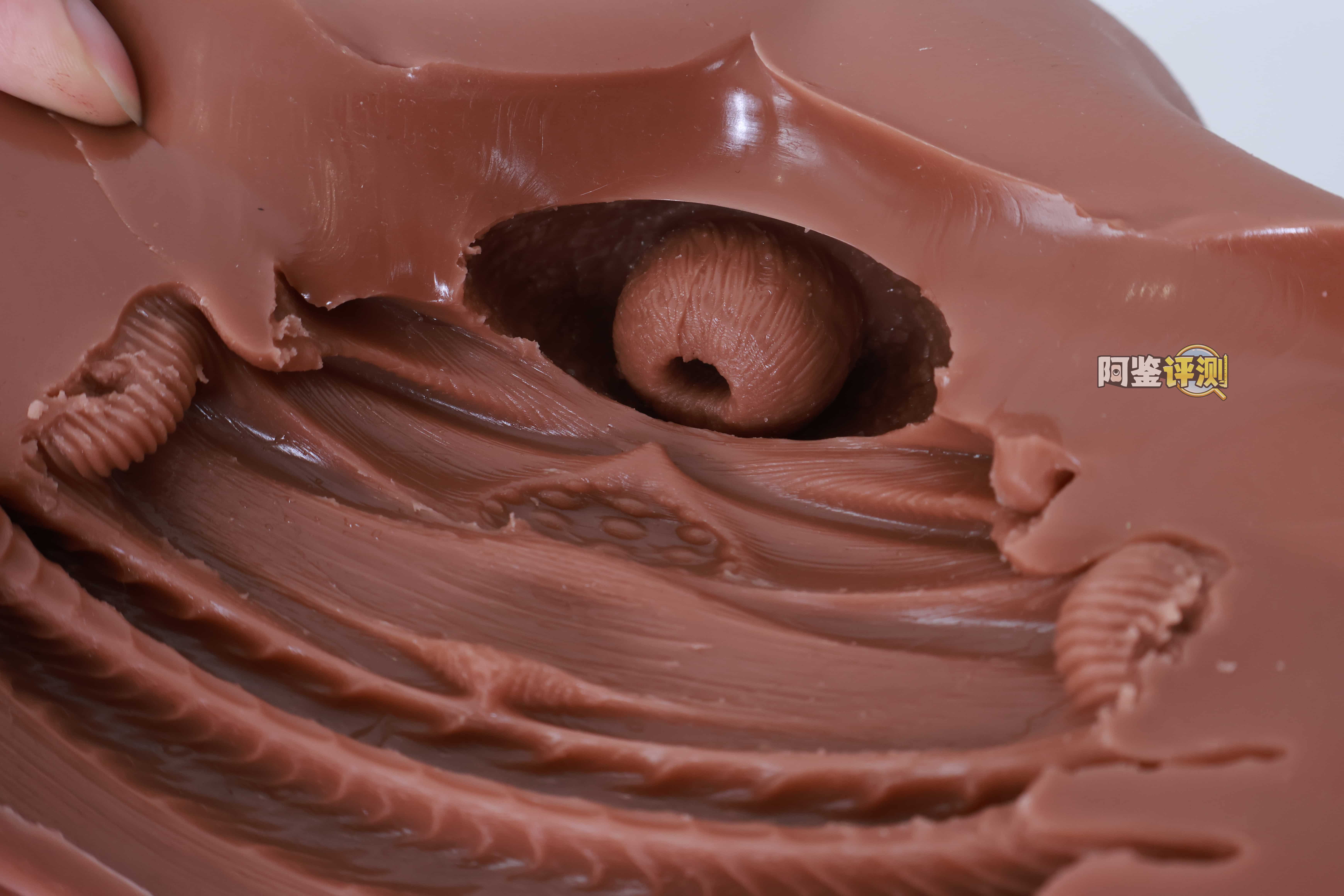 COC——“可可狼姬”评测！褐色黑皮的“成熟型”小屁股倒模，通道的复杂度和姿势兼容性都挺不错