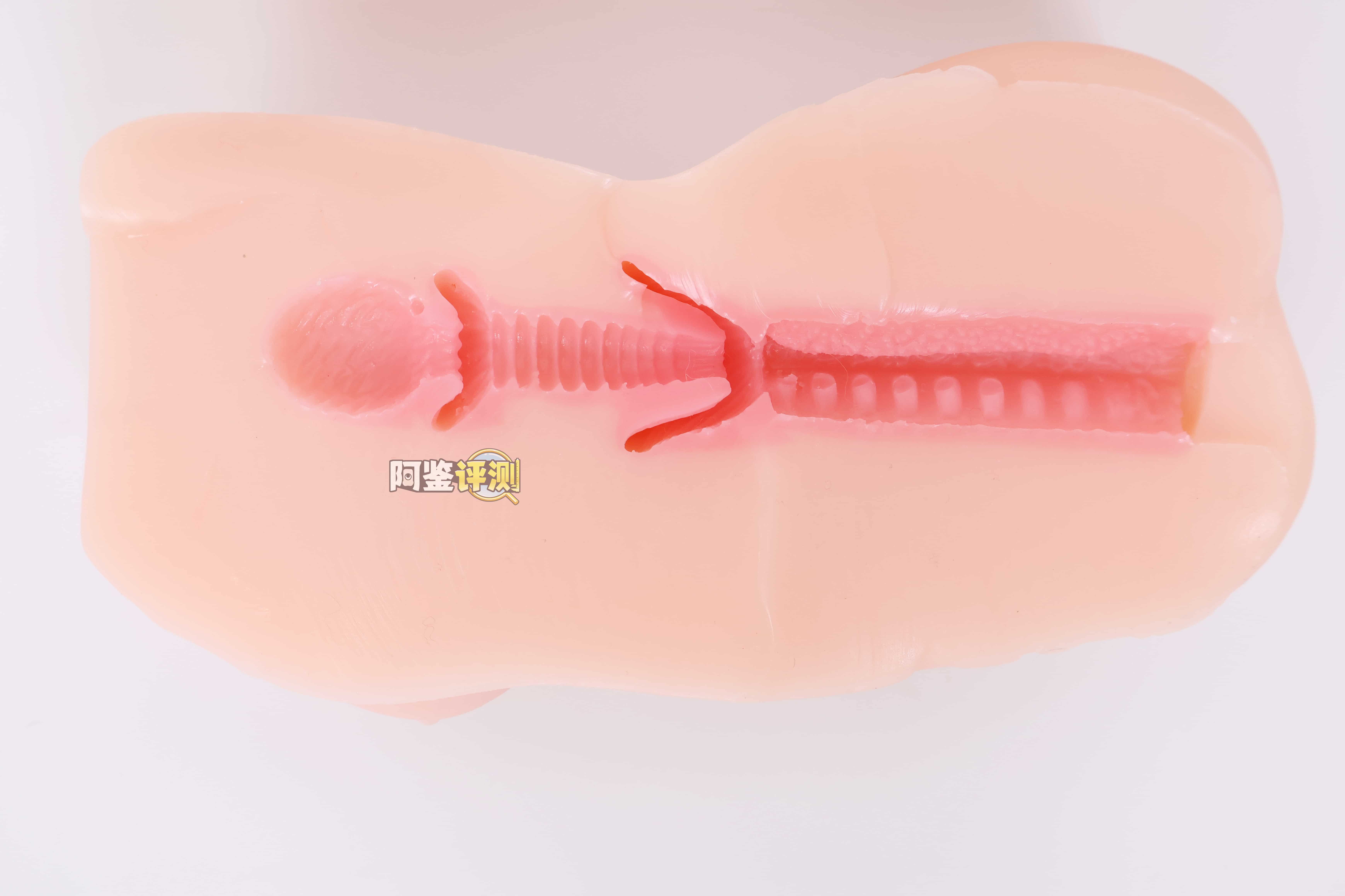 SUIKOMI——"卖杯子的小女孩"评测！这设计可以说是把子宫型杯子的缺点发挥到极致了.....