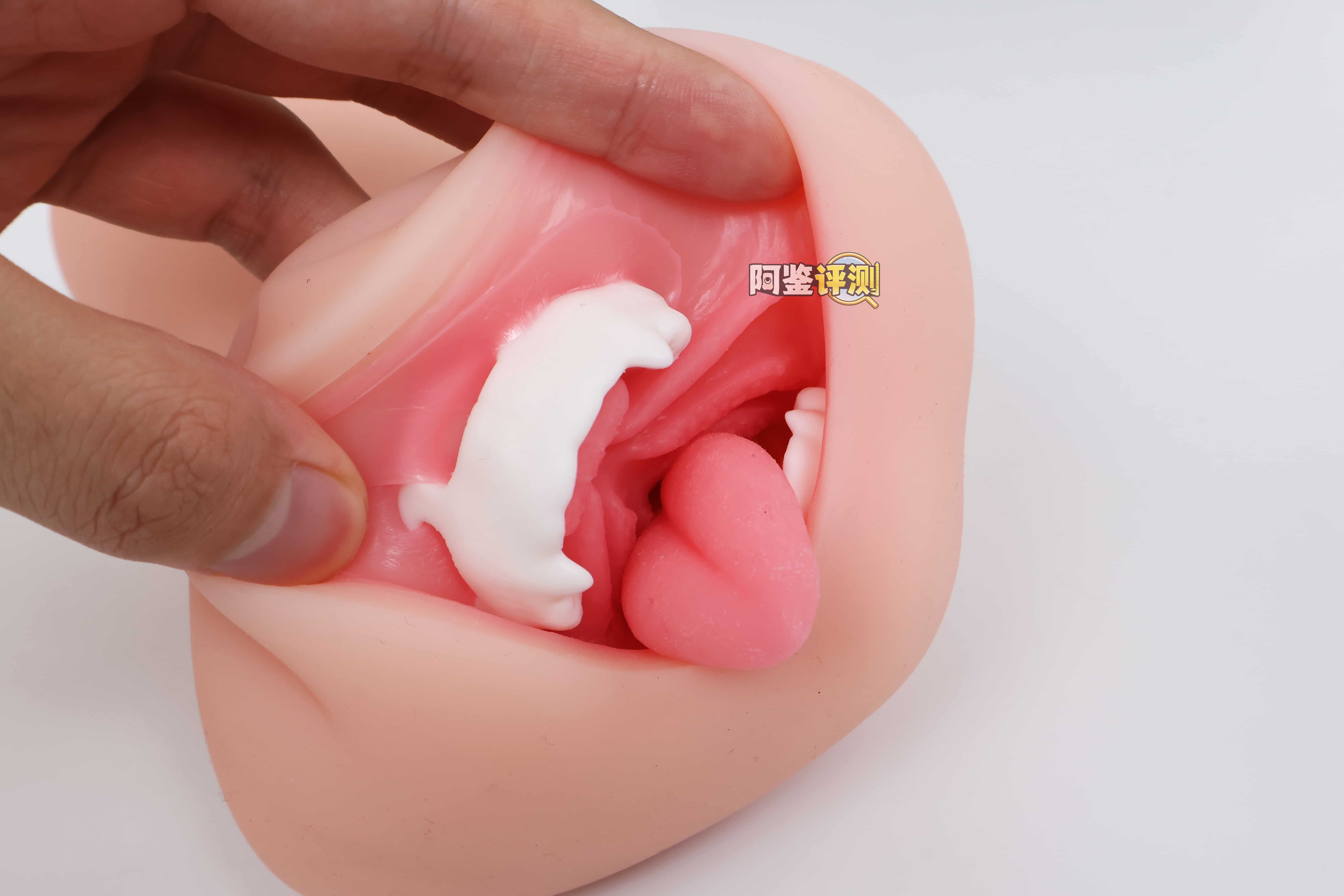 KAGUYANO——”诗多利”评测！非常“二次元画风”的口腔结构，但深处的简单结构并不实用