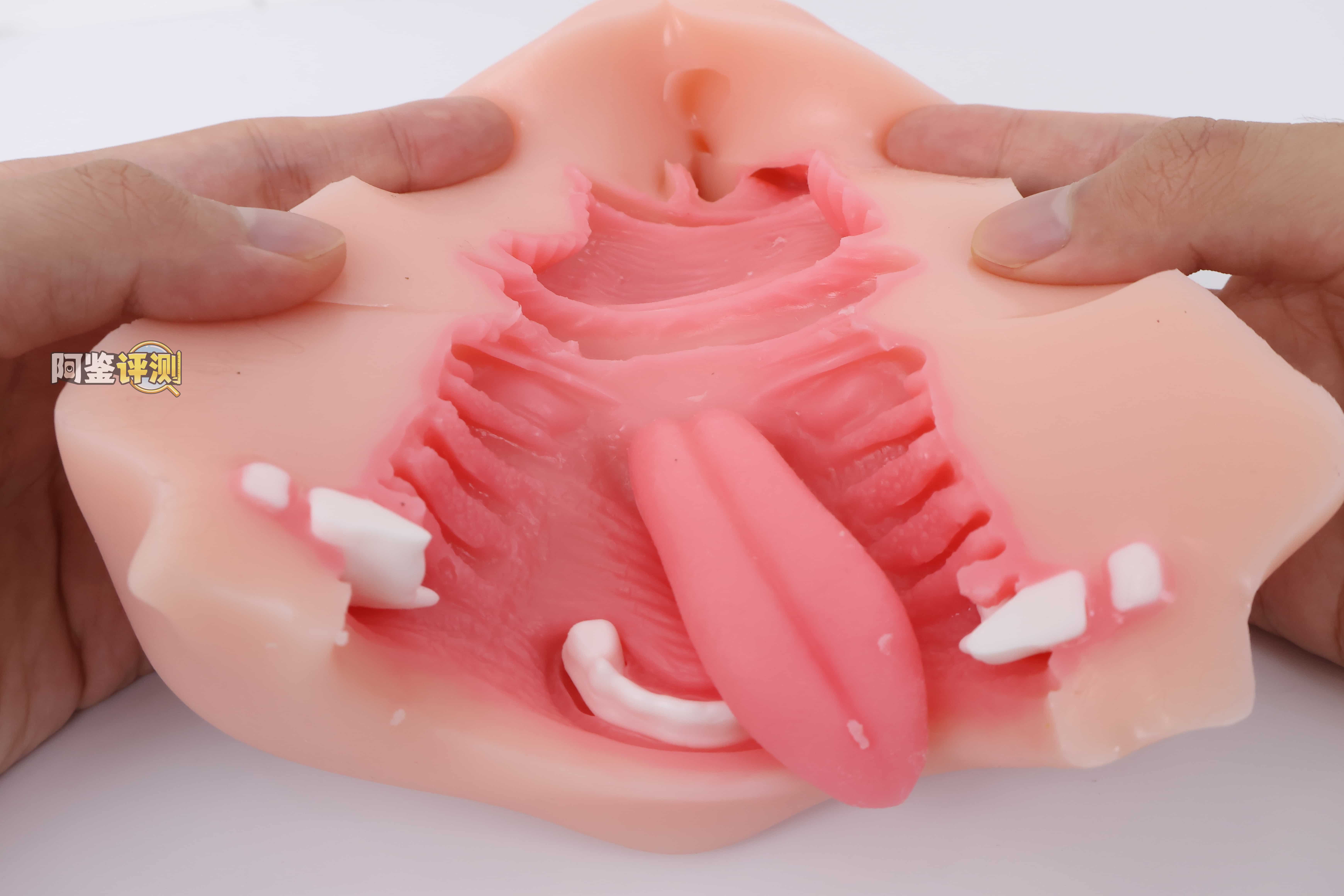 KAGUYANO——”诗多利”评测！非常“二次元画风”的口腔结构，但深处的简单结构并不实用