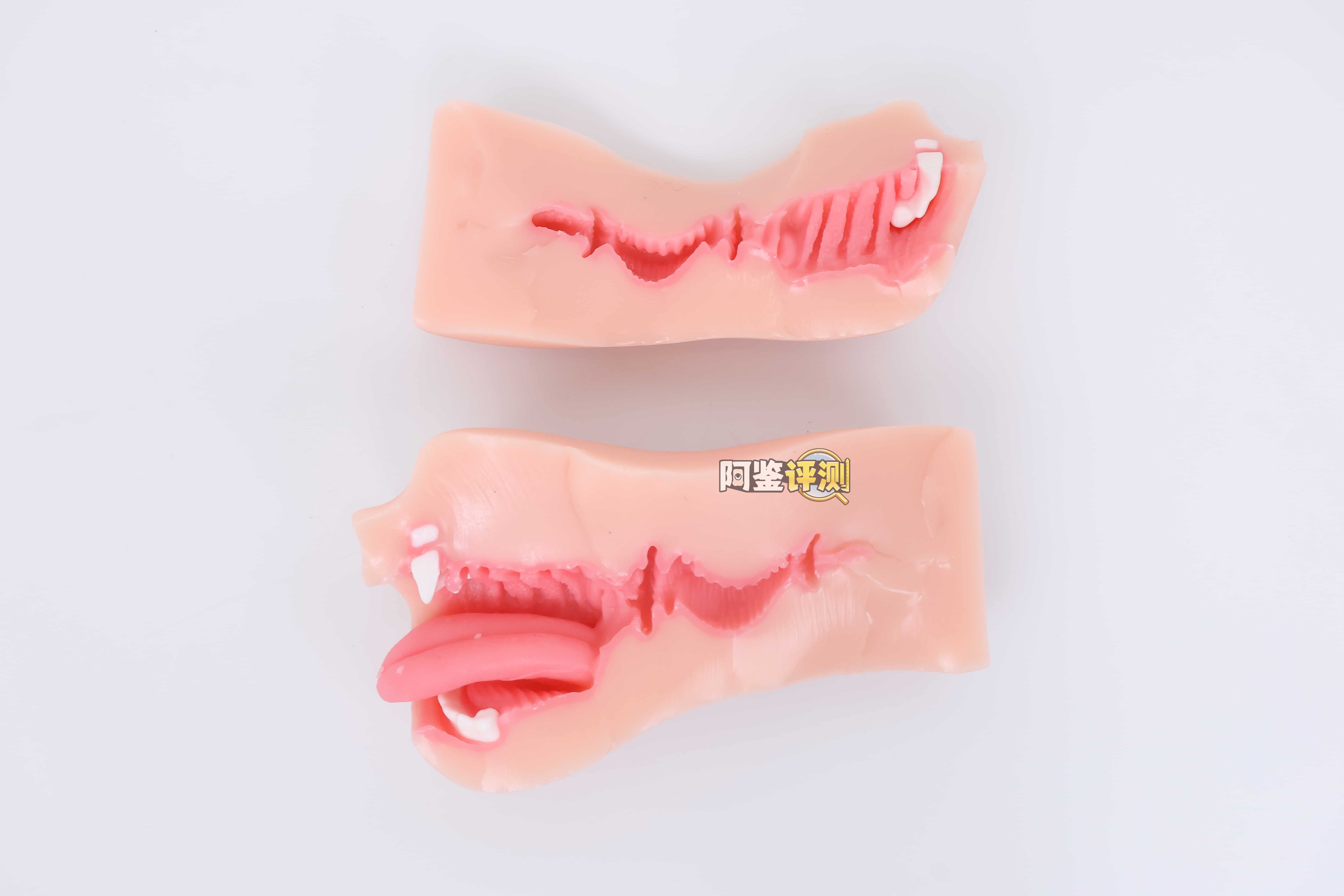 KAGUYANO——”诗多利”评测！非常“二次元画风”的口腔结构，但深处的简单结构并不实用