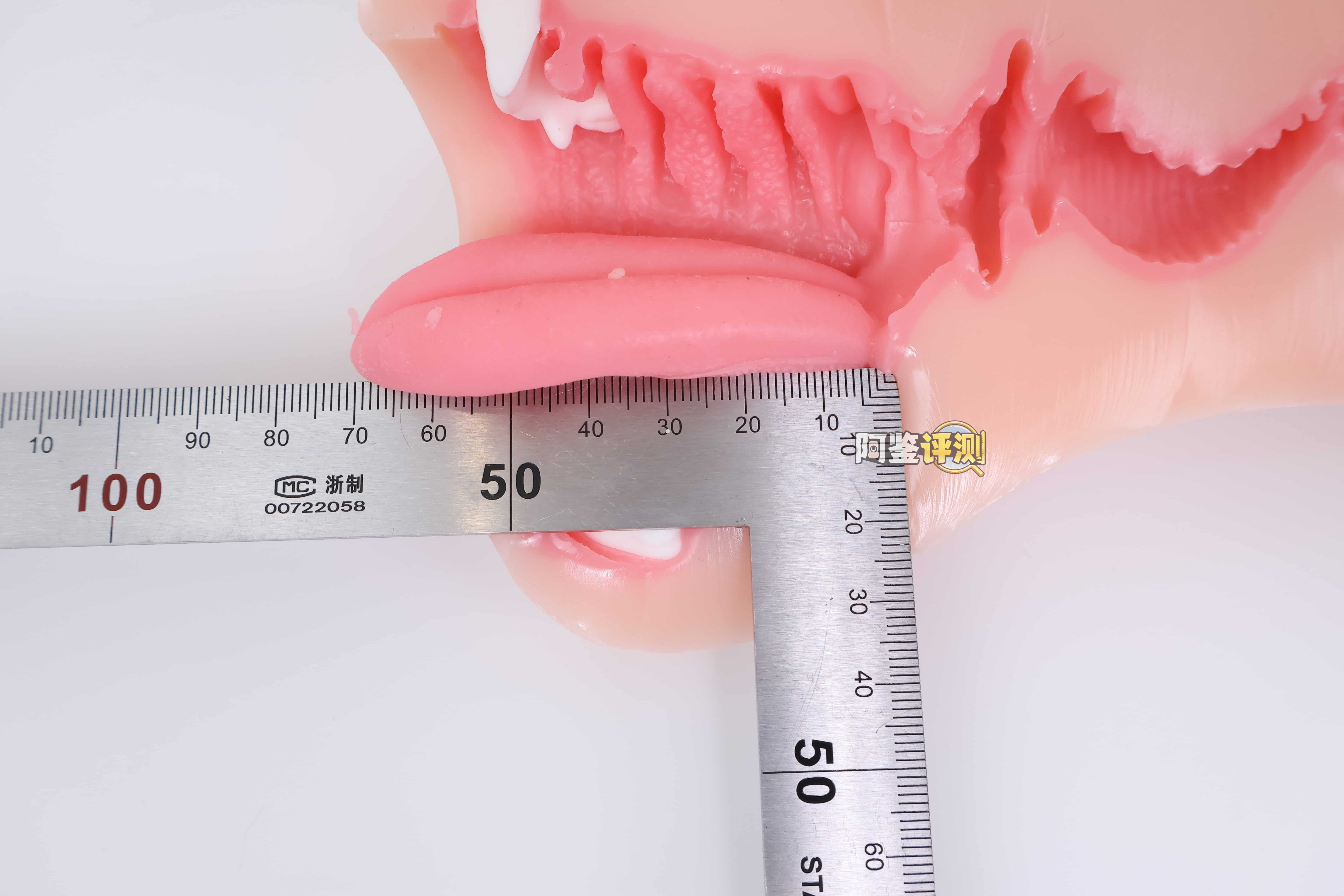 KAGUYANO——”诗多利”评测！非常“二次元画风”的口腔结构，但深处的简单结构并不实用