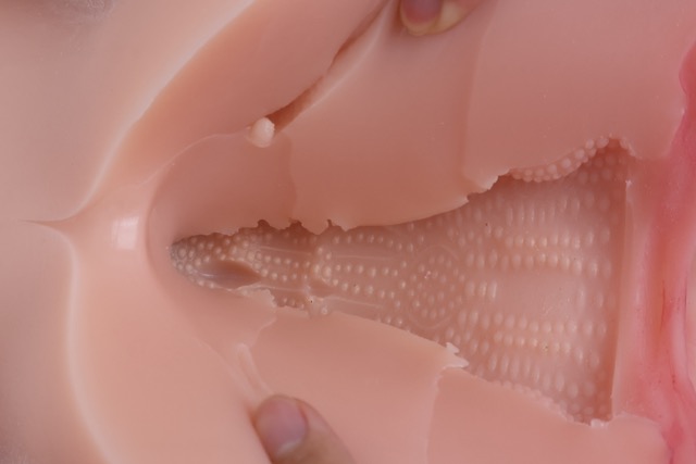 傲川——“爆汁肥尻娘MAX”评测！40kg逆天重量的究极大臀，实际使用起来到底是怎样的感觉？