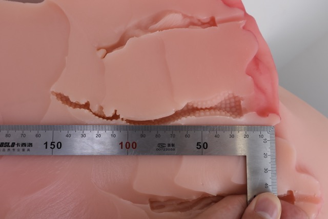 傲川——“爆汁肥尻娘MAX”评测！40kg逆天重量的究极大臀，实际使用起来到底是怎样的感觉？