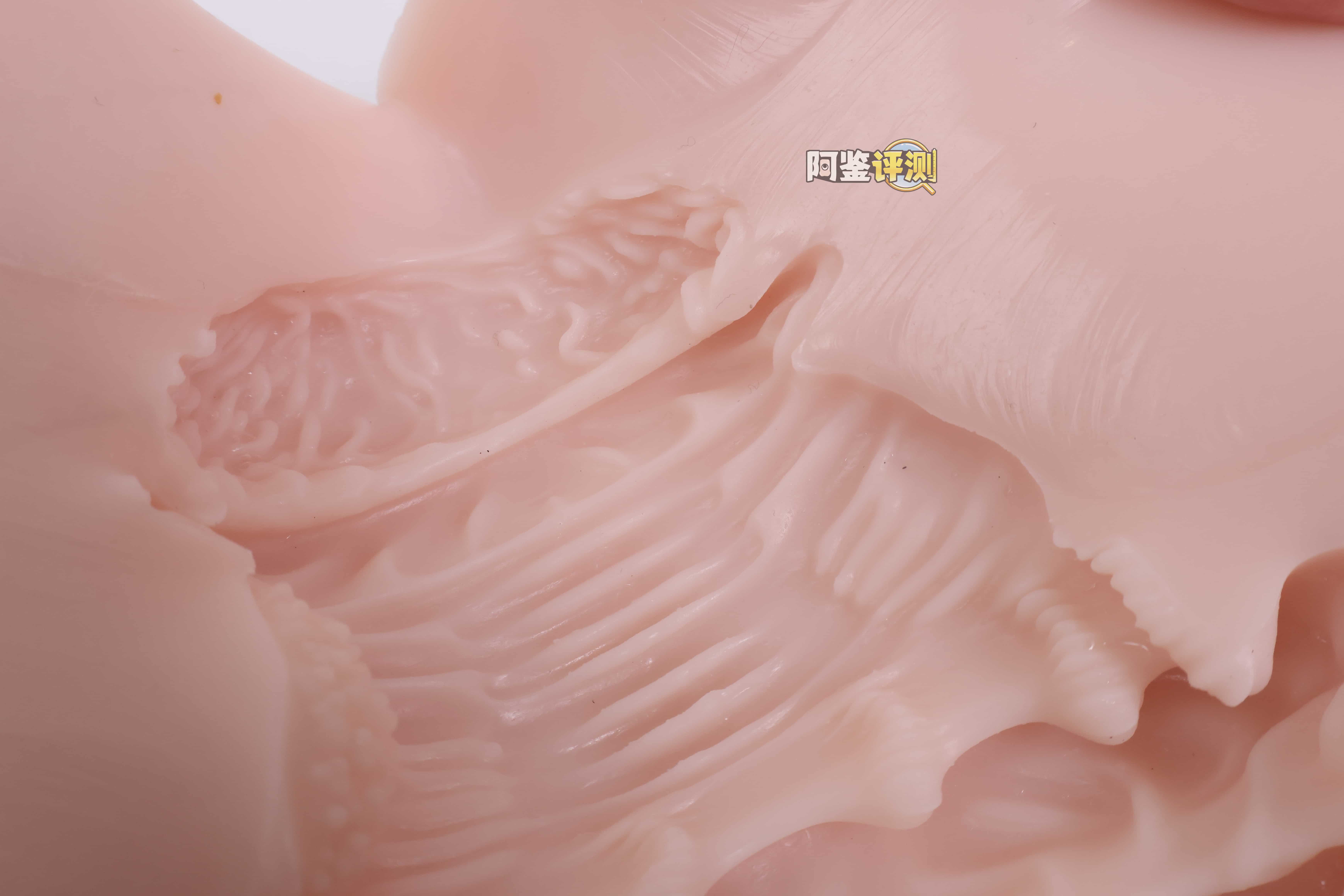 yokubou——”情热应援团2”评测！设计比一代好了很多，但还是有些缺乏特色