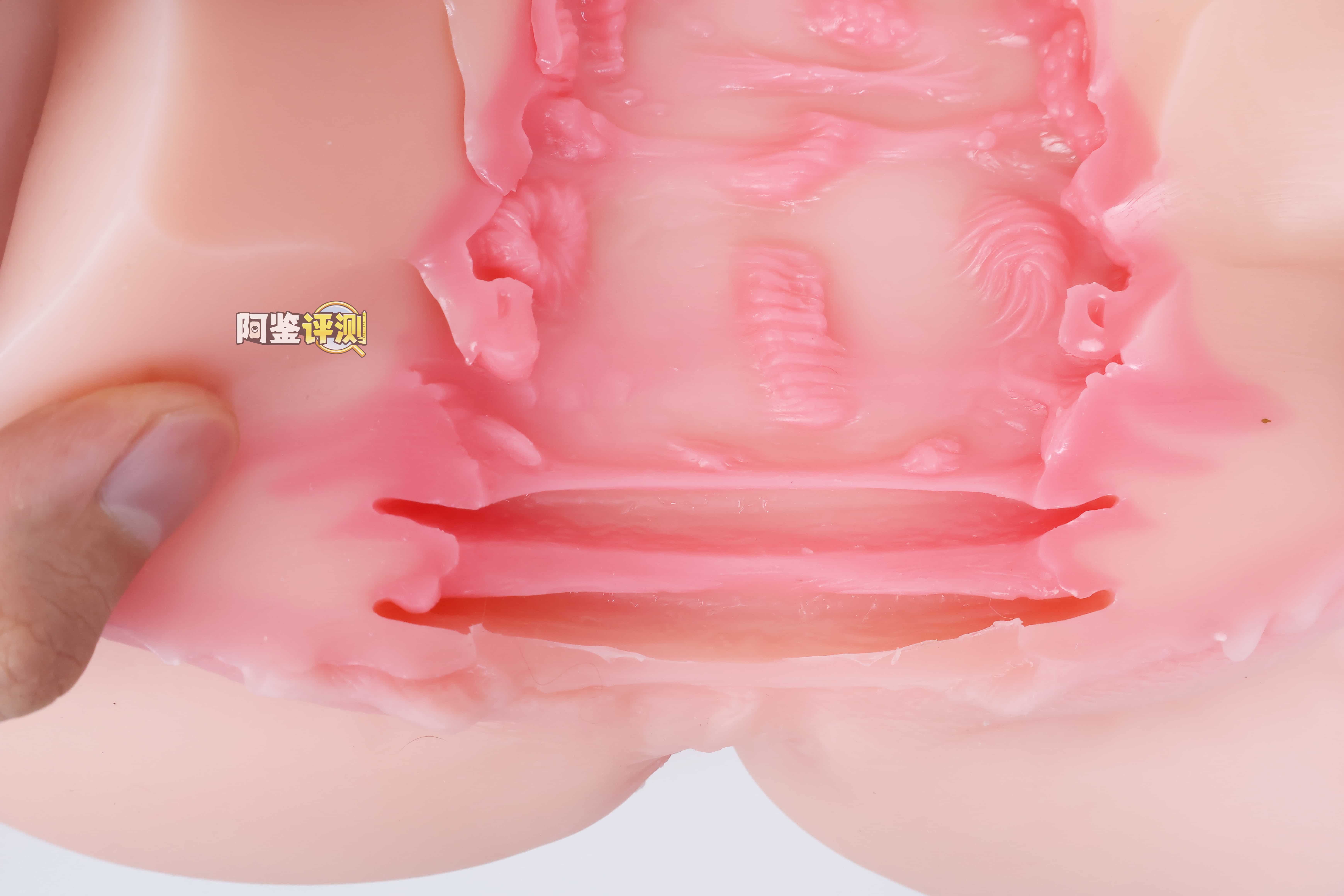 COC——”元气教练”评测！可可狼姬的肉色加大版，但脂软部分感觉做得稍微有些保守