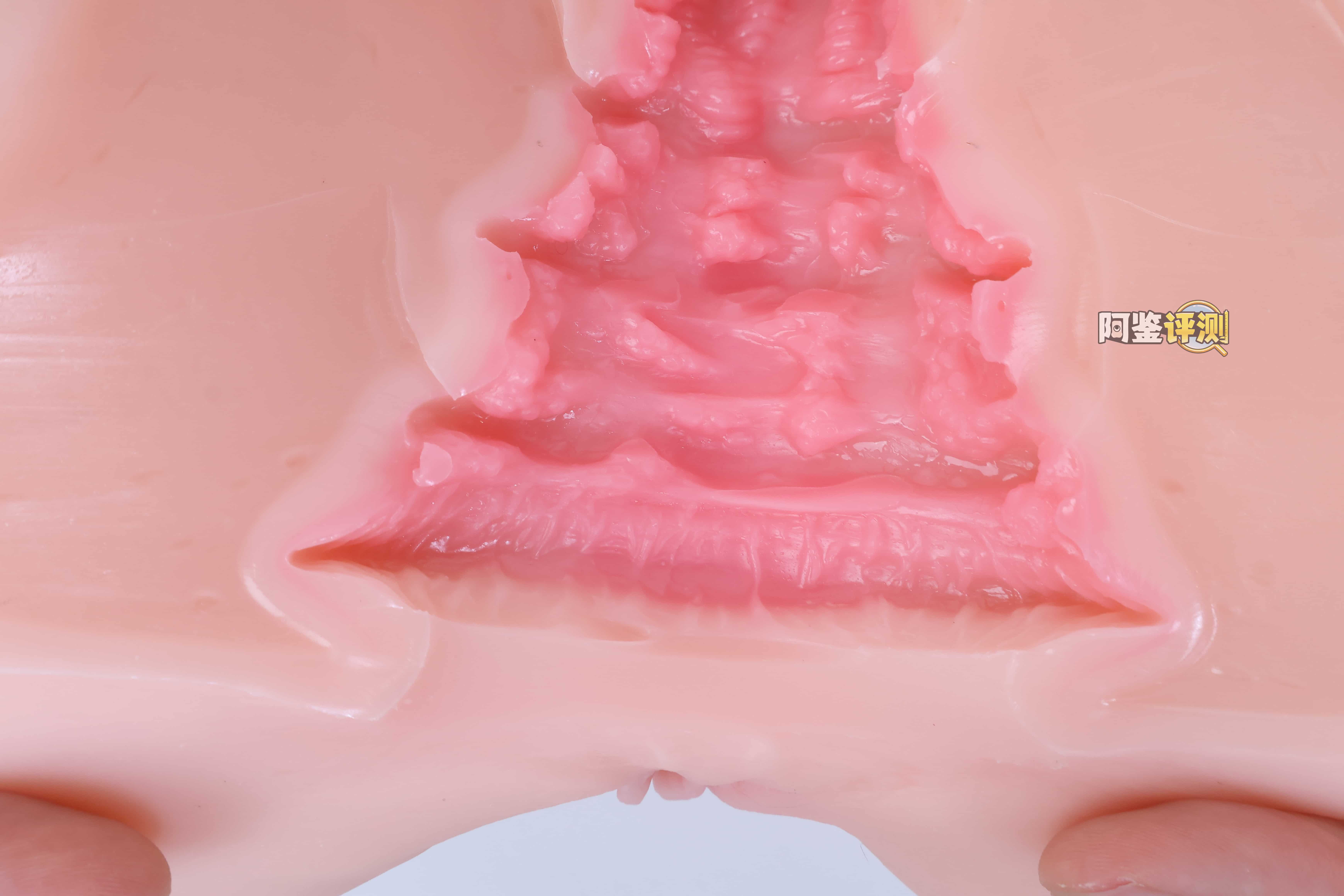 COC——”元气教练”评测！可可狼姬的肉色加大版，但脂软部分感觉做得稍微有些保守